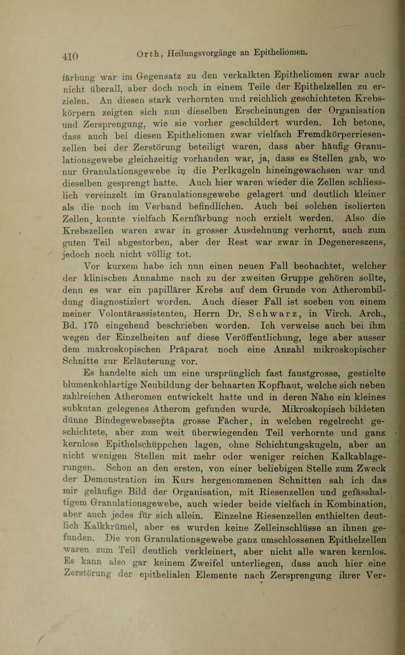 färbung war 1111 Gegensatz zu. den verkalkten Epitheliomen zw ai auch nicht überall, aber doch noch in einem Teile der Epithelzellen zu er¬ zielen. An diesen stark verhornten und reichlich geschichteten Krebs¬ körpern zeigten sich nun dieselben Erscheinungen der Organisation und Zersprengung, wie sie vorher geschildert wurden. Ich betone,, dass auch bei diesen Epitheliomen zwar vielfach Fremdkörperriesen- zellen bei der Zerstörung beteiligt waren, dass aber häufig Granu¬ lationsgewebe gleichzeitig vorhanden war, ja, dass es Stellen gab, wo nur Granulationsgewebe in die Perlkugeln hineingewachsen war und dieselben gesprengt hatte. Auch hier waren wieder die Zellen schliess¬ lich vereinzelt im Granulationsgewebe gelagert und deutlich kleiner als die noch im Verband befindlichen. Auch bei solchen isolierten Zellen# konnte vielfach Kernfärbung noch erzielt werden. Also die Krebszellen waren zwar in grosser Ausdehnung verhornt, auch zum guten Teil abgestorben, aber der Pest war zwar in Degenereszens, jedoch noch nicht völlig tot. Vor kurzem habe ich nun einen neuen Fall beobachtet, welcher der klinischen Annahme nach zu der zweiten Gruppe gehören sollte, denn es war ein papillärer Krebs auf dem Grunde von Atherombil¬ dung diagnostiziert wTorden. Auch dieser Fall ist soeben von einem meiner Volontärassistenten, Herrn Dr. Schwarz, in Virch. Arch., Bd. 175 eingehend beschrieben worden. Ich verweise auch bei ihm wegen der Einzelheiten auf diese Veröffentlichung, lege aber ausser dem makroskopischen Präparat noch eine Anzahl mikroskopischer Schnitte zur Erläuterung vor. Es handelte sich um eine ursprünglich fast faustgrosse, gestielte blumenkohlartige Neubildung der behaarten Kopfhaut, welche sich neben zahlreichen Atheromen entwickelt hatte und in deren Nähe ein kleines subkutan gelegenes Atherom gefunden wurde. Mikroskopisch bildeten dünne Bindegewebssepta grosse Fächer, in welchen regelrecht ge¬ schichtete, aber zum weit überwiegenden Teil verhornte und ganz kernlose Epithelschüppchen lagen, ohne Schichtungskugeln, aber an nicht wenigen Stellen mit mehr oder weniger reichen Kalkablage¬ rungen. Schon an den ersten, von einer beliebigen Stelle zum Zweck der Demonstration im Kurs hergenommenen Schnitten sah ich das mir geläufige Bild der Organisation, mit Biesenzellen und gefässhal- tigem Granulationsgewebe, auch wieder beide vielfach in Kombination, aber auch jedes für sich allein. Einzelne Biesenzellen enthielten deut¬ lich Kalkkrümel, aber es wurden keine Zelleinschlüsse an ihnen ge¬ tänden. Die von Granulationsgewebe ganz umschlossenen Epithelzellen waren zum Teil deutlich verkleinert, aber nicht alle waren kernlos. Es kann also gar keinem Zweifel unterliegen, dass auch hier eine Zerstörung der epithelialen Elemente nach Zersprengung ihrer Ver-