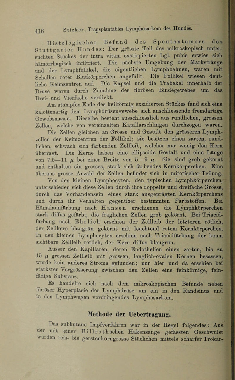 Histologischer Befund des Spontantumors des Stuttgarter Hundes: Der grösste Teil des mikroskopisch unter¬ suchten Stückes der intra vitam exstirpierten Lgl. pubis erwies sich hämorrhagisch infiltriert. Die nächste Umgebung der Markstränge und der Lymphfollikel, die eigentlichen Lymphbahnen, waren mit Schollen roter Blutkörperchen angefüllt. Die Follikel wiesen deut¬ liche Keimzentren auf. Die Kapsel und die Trabekel innerhalb der Drüse waren durch Zunahme des fibrösen Bindegewebes um das Drei- und Vierfache verdickt. Am stumpfen Ende des keilförmig exzidierten Stückes fand sich eine kalottenartig dem Lymphdrüsengewebe sich anschliessende fremdartige Gfewebsmasse. Dieselbe besteht ausschliesslich aus rundlichen, grossen Zellen, welche von vereinzelten Kapillarschlingen durchzogen waren. Die Zellen gleichen an Grösse und Gestalt den grösseren Lymph- zellen der Keimzentren der Follikel; sie besitzen einen zarten, rund¬ lichen, schwach sich färbenden Zellleib, welcher nur wenig den Kern überragt. Die Kerne haben eine ellipsoide Gestalt und eine Länge von 7,5—11 (i bei einer Breite von 5—9 (.i. Sie sind grob gekörnt und enthalten ein grosses, stark sich färbendes Kernkörperchen. Eine überaus grosse Anzahl der Zellen befindet sich in mitotischer Teilung. Von den kleinen Lymphocyten, den typischen Lymphkörperchen, unterschieden sich diese Zellen durch ihre doppelte und dreifache Grösse, durch das Vorhandensein eines stark ausgeprägten Kernkörperchens, and durch ihr Verhalten gegenüber bestimmten Farbstoffen. Bei Hämalaunfärbung nach Hansen erschienen die Lymphkörperchen stark diffus gefärbt, die fraglichen Zellen grob gekörnt. Bei Triacid- färbung nach Ehrlich erschien der Zellleib der letzteren rötlich,, der Zellkern blaugrün gekörnt mit leuchtend rotem Kernkörperchen. In den kleinen Lymphocyten erschien nach Triacidfärbung der kaum sichtbare Zellleib rötlich, der Kern diffus blaugrün. Ausser den Kapillaren, deren Endothelien einen zarten, bis zu 15 f.i grossen Zellleib mit grossen, länglich-ovalen Kernen besassen,. wurde kein anderes Stroma gefunden; nur hier und da erschien bei stärkster Vergrösserung zwischen den Zellen eine feinkörnige, fein- fädige Substanz. Es handelte sich nach dem mikroskopischen Befunde neben fibröser Hyperplasie der Lymphdrüse um ein in den Bandsinus und in den Lymphwegen vordringendes Lymphosarkom. Methode der Uebertragimg. Das subkutane Impfverfahren war in der Kegel folgendes: Aus der mit einer Billrothsehen Hakenzange gefassten Geschwulst v ui den reis- bis gerstenkorngrosse Stückchen mittels scharfer Trokar-