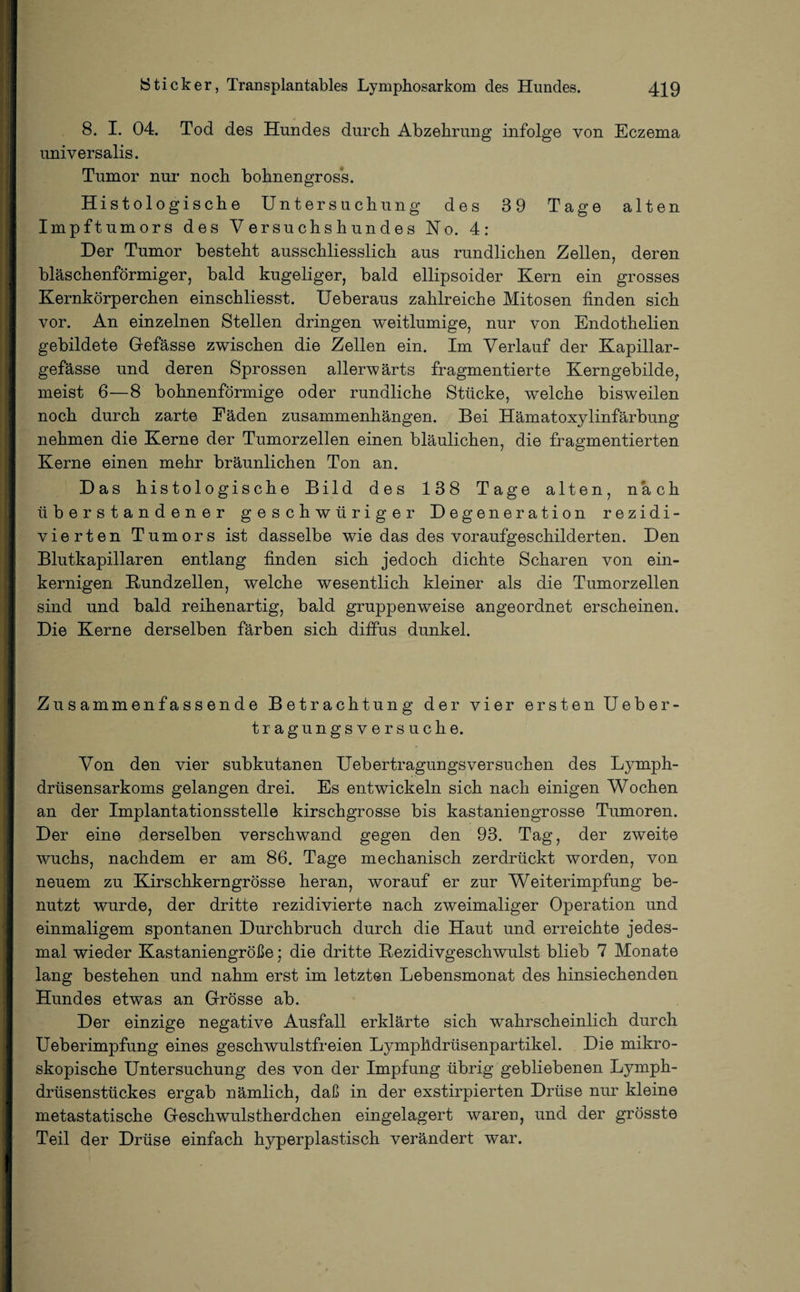 8. I. 04. Tod des Hundes durch Abzehrung infolge von Eczema universalis. Tumor nur noch bohnengros’s. Histologische Untersuchung des 39 Tage alten Impftumors des Versuchshundes No. 4: Der Tumor besteht ausschliesslich aus rundlichen Zellen, deren bläschenförmiger, bald kugeliger, bald ellipsoider Kern ein grosses Kernkörperchen einschliesst. Ueberaus zahlreiche Mitosen finden sich vor. An einzelnen Stellen dringen weitlumige, nur von Endothelien gebildete Gefässe zwischen die Zellen ein. Im Verlauf der Kapillar- gefässe und deren Sprossen allerwärts fragmentierte Kerngebilde, meist 6—8 bohnenförmige oder rundliche Stücke, welche bisweilen noch durch zarte Eäden Zusammenhängen. Bei Hämatoxylinfärbung nehmen die Kerne der Tumorzellen einen bläulichen, die fragmentierten Kerne einen mehr bräunlichen Ton an. Das histologische Bild des 138 Tage alten, nach überstandener geschwtiriger Degeneration rezidi- vierten Tumors ist dasselbe wie das des voraufgeschilderten. Den Blutkapillaren entlang finden sich jedoch dichte Scharen von ein¬ kernigen Kundzellen, welche wesentlich kleiner als die Tumorzellen sind und bald reihenartig, bald gruppenweise angeordnet erscheinen. Die Kerne derselben färben sich diffus dunkel. Zusammenfassende Betrachtung der vier ersten Ueber- tragungsversuche. Von den vier subkutanen Uebertragungsversuchen des Lymph- drüsensarkoms gelangen drei. Es entwickeln sich nach einigen Wochen an der Implantationsstelle kirschgrosse bis kastaniengrosse Tumoren. Der eine derselben verschwand gegen den 93. Tag, der zweite wuchs, nachdem er am 86. Tage mechanisch zerdrückt worden, von neuem zu Kirschkerngrösse heran, worauf er zur Weiterimpfung be¬ nutzt wurde, der dritte rezidivierte nach zweimaliger Operation und einmaligem spontanen Durchbruch durch die Haut und erreichte jedes¬ mal wieder Kastaniengröße; die dritte Kezidivgeschwulst blieb 7 Monate lang bestehen und nahm erst im letzten Lebensmonat des hinsiechenden Hundes etwas an Grösse ab. Der einzige negative Ausfall erklärte sich wahrscheinlich durch Ueberimpfung eines geschwulstfreien Lymphdrüsenpartikel. Die mikro¬ skopische Untersuchung des von der Impfung übrig gebliebenen Lymph- drtisenstückes ergab nämlich, daß in der exstirpierten Drüse nur kleine metastatische Geschwulstherdchen eingelagert waren, und der grösste Teil der Drüse einfach hyperplastisch verändert war.