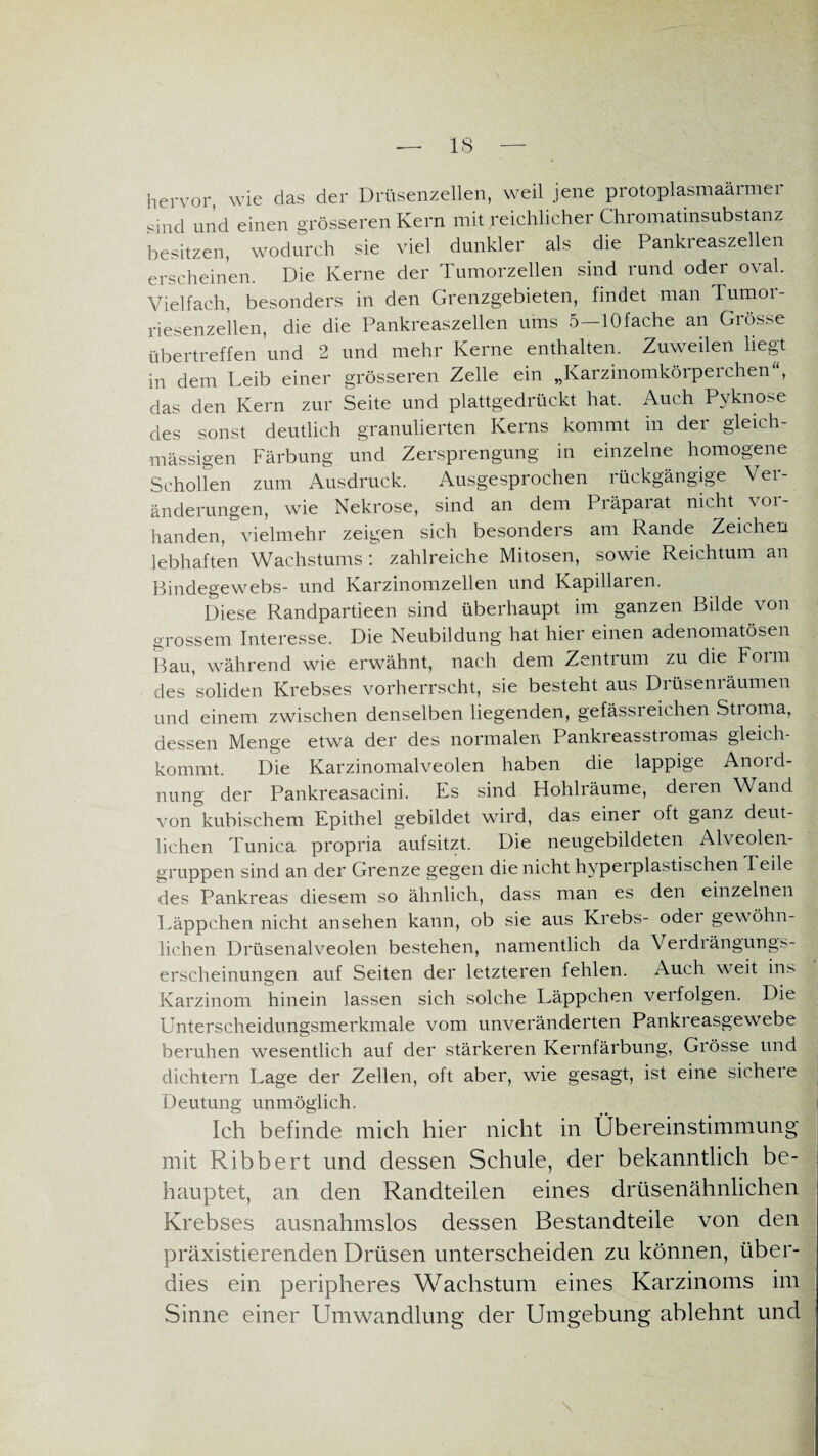 hervor, wie das der Drüsenzellen, weil jene protoplasmaärmer sind und einen grösseren Kern mit reichlicher Chromatinsubstanz besitzen, wodurch sie viel dunkler als die Pankreaszellen erscheinen. Die Kerne der Tumorzellen sind rund oder oval Vielfach, besonders in den Grenzgebieten, findet man Tumor¬ riesenzellen, die die Pankreaszellen ums 5—lOfache an Grösse Übertreffen und 2 und mehr Kerne enthalten. Zuweilen liegt in dem Leib einer grösseren Zelle ein „Karzinomkörperchen'\ das den Kern zur Seite und plattgedrückt hat. Auch Pyknose des sonst deutlich granulierten Kerns kommt in der gleich- massigen Färbung und Zersprengung in einzelne homogene Schollen zum Ausdruck. Ausgesprochen rückgängige Ver¬ änderungen, wie Nekrose, sind an dem Präpaiat nicht w>i- handen, vielmehr zeigen sich besonders am Rande Zeichen lebhaften Wachstums: zahlreiche Mitosen, sowie Reichtum an Bindegewebs- und Karzinomzellen und Kapillaren. Diese Randpartieen sind überhaupt im ganzen Bilde von grossem Interesse. Die Neubildung hat hier einen adenomatösen Bau, während wie erwähnt, nach dem Zentrum zu die Form des soliden Krebses vorherrscht, sie besteht aus Drüsenräumen und einem zwischen denselben liegenden, gefässreichen Stroma, dessen Menge etwa der des normalen Pankieasstromas gleich¬ kommt. Die Karzinomalveolen haben die lappige Anord¬ nung der Pankreasacini. Es sind Hohlräume, deren Wand von kubischem Epithel gebildet wird, das einer oft ganz deut¬ lichen Tunica propria aufsitzt. Die neugebildeten Alveolen¬ gruppen sind an der Grenze gegen die nicht hyperplastischen Teile des Pankreas diesem so ähnlich, dass man es den einzelnen Läppchen nicht ansehen kann, ob sie aus Krebs- odei gewöhn¬ lichen Drüsenalveolen bestehen, namentlich da Verdrängungs- erscheinungen auf Seiten der letzteren fehlen. Auch weit ins Karzinom hinein lassen sich solche Läppchen verfolgen. Die Unterscheidungsmerkmale vom unveränderten Pankreasgewebe beruhen wesentlich auf der stärkeren Kernfärbung, Grösse und dichtem Lage der Zellen, oft aber, wie gesagt, ist eine sichere Deutung unmöglich. Ich befinde mich hier nicht in Übereinstimmung mit Ribbert und dessen Schule, der bekanntlich be¬ hauptet, an den Randteilen eines drüsenähnlichen Krebses ausnahmslos dessen Bestandteile von den präxistierenden Drüsen unterscheiden zu können, über¬ dies ein peripheres Wachstum eines Karzinoms im Sinne einer Umwandlung der Umgebung ablehnt und