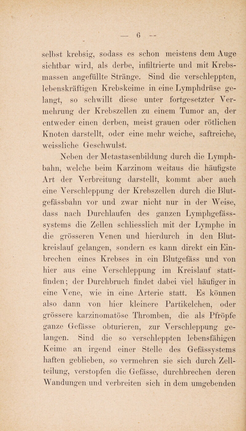 selbst krebsig, sodass es schon meistens dem Auge sichtbar wird, als derbe, infiltrierte und mit Krebs¬ massen angefüllte Stränge. Sind die verschleppten, lebenskräftigen Krebskeime in eine Lymphdrüse ge¬ langt, so schwillt diese unter fortgesetzter Arer- mehrung der Krebszellen zu einem Tumor an, der entweder einen derben, meist grauen oder rötlichen Knoten darstellt, oder eine mehr weiche, saftreiche, weissliche Geschwulst. Keben der Metastasenbildung durch die Lymph- bahn, welche beim Karzinom weitaus die häufigste Art der Verbreitung darstellt, kommt aber auch eine Verschleppung der Krebszellen durch die Blut¬ gefässbahn vor und zwar nicht nur in der Weise, dass nach Durchlaufen des ganzen Lymphgefäss- systems die Zellen schliesslich mit der Lymphe in die grösseren Venen und hierdurch in den Blut¬ kreislauf gelangen, sondern es kann direkt ein Ein¬ brechen eines Krebses in ein Blutgefäss und von hier aus eine Verschleppung im Kreislauf statt¬ finden; der Durchbruch findet dabei viel häufiger in eine Vene, wie in eine Arterie statt. Es können also dann von hier kleinere Partikelchen, oder grössere karzinomatöse Thromben, die als Pfropfe ganze Gefässe obturieren, zur Verschleppung ge¬ langen. Sind die so verschleppten lebensfähigen Keime an irgend einer Stelle des Gefässystems haften geblieben, so vermehren sie sich durch Zell¬ teilung, verstopfen die Gefässe, durchbrechen deren Wandungen und verbreiten sich indem umgebenden