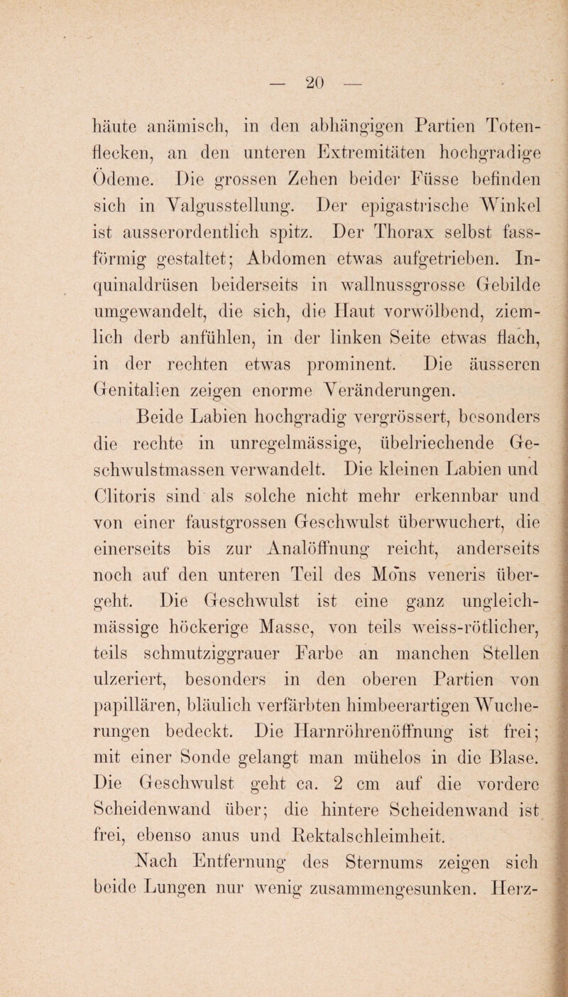 häute anämisch, in den abhängigen Partien Toten- ftecken, an den unteren Extremitäten hochgradige Ödeme. Die grossen Zehen beider Füsse befinden sich in YalgusStellung. Der epigastrische Winkel ist ausserordentlich spitz. Der Thorax selbst fass¬ förmig gestaltet; Abdomen etwas aufgetrieben. In- quinaldriisen beiderseits in wallnussgrosse Gebilde umgewandelt, die sieh, die Haut vorwölbend, ziem¬ lich derb anfülden, in der linken Beite etwas flach, in der rechten etwas prominent. Die äusseren Genitalien zeigen enorme Veränderungen. o o Beide Labien hochgradig vergrössert, besonders die rechte in unregelmässige, übelriechende Ge¬ schwulstmassen verwandelt. Die kleinen Labien und Clitoris sind als solche nicht mehr erkennbar und von einer faustgrossen Geschwulst überwuchert, die einerseits bis zur Analöffnung reicht, anderseits noch auf den unteren Teil des Mohis veneris über¬ geht. Die Geschwulst ist eine ganz ungleich- mässige höckerige Masse, von teils weiss-rötlicher, teils schmutziggrauer Farbe an manchen Stellen ulzeriert, besonders in den oberen Partien von papillären, bläulich verfärbten himbe er artigen Wuche¬ rungen bedeckt. Die Harnröhrenöffnung ist frei; mit einer Sonde gelangt man mühelos in die Blase. Die Geschwulst geht ca. 2 cm auf die vordere Scheiden wand über; die hintere Scheidenwand ist frei, ebenso anus und Bektalsehleimheit. Nach Entfernung des Sternums zeigen sich beide Lungen nur wenig zusammengesunken. Herz-