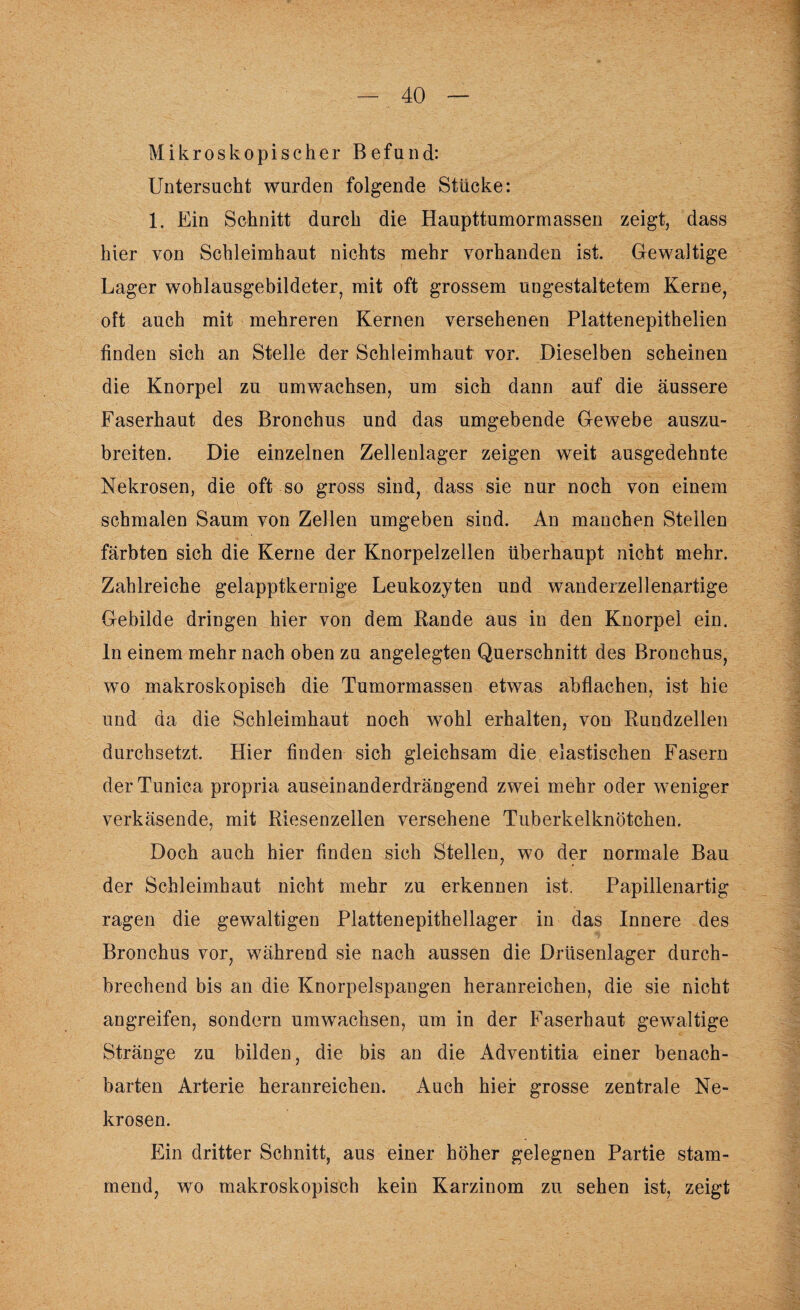 Mikroskopischer Befund: Untersucht wurden folgende Stücke: 1. Ein Schnitt durch die Haupttumormassen zeigt, dass hier von Schleimhaut nichts mehr vorhanden ist. Gewaltige Lager wohlausgebildeter, mit oft grossem ungestaltetem Kerne, oft auch mit mehreren Kernen versehenen Plattenepithelien finden sich an Stelle der Schleimhaut vor. Dieselben scheinen die Knorpel zu umwachsen, um sich dann auf die äussere Faserhaut des Bronchus und das umgebende Gewebe auszu¬ breiten. Die einzelnen Zellenlager zeigen weit ausgedehnte Nekrosen, die oft so gross sind, dass sie nur noch von einem schmalen Saum von Zellen umgeben sind. An manchen Steilen färbten sich die Kerne der Knorpelzellen überhaupt nicht mehr. Zahlreiche gelapptkernige Leukozyten und wandeizellenartige Gebilde dringen hier von dem Rande aus in den Knorpel ein. ln einem mehr nach oben zu angelegten Querschnitt des Bronchus, wo makroskopisch die Tumormassen etwas abflachen, ist hie und da die Schleimhaut noch wohl erhalten, von Rundzellen durchsetzt. Hier finden sich gleichsam die elastischen Fasern derTunica propria auseinanderdrängend zwei mehr oder weniger verkäsende, mit Riesenzellen versehene Tuberkelknötchen. Doch auch hier finden sich Stellen, wo der normale Bau der Schleimhaut nicht mehr zu erkennen ist. Papillenartig ragen die gewaltigen Plattenepithellager in das Innere des Bronchus vor, während sie nach aussen die Drüsenlager durch¬ brechend bis an die Knorpelspangen heranreichen, die sie nicht angreifen, sondern umwachsen, um in der Faserhaut gewaltige Stränge zu bilden, die bis an die Adventitia einer benach¬ barten Arterie heranreichen. Auch hier grosse zentrale Ne¬ krosen. Ein dritter Schnitt, aus einer höher gelegnen Partie stam¬ mend, wo makroskopisch kein Karzinom zu sehen ist, zeigt