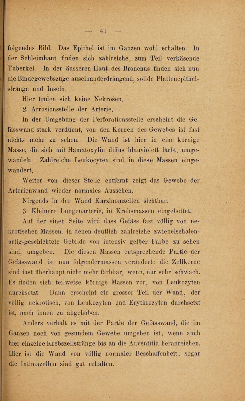 folgendes Bild. Das Epithel ist im Ganzen wohl erhalten. In der Schleimhaut finden sich zahlreiche, zum Teil verkäsende Tuberkel. In der äusseren Haut des Bronchus finden sich nun die Bindegewebszlige auseinanderdrängend, solide Plattenepithel¬ stränge und Inseln. Hier finden sich keine Nekrosen. 2. Arrosionsstelle der Arterie. In der Umgebung der Perforationsstelle erscheint die Ge- fässwand stark verdünnt, von den Kernen des Gewebes ist fast nichts mehr zu sehen. Die Wand ist hier in eine körnige Masse, die sich mit Hämatoxylin diffus blauviolett färbt, umge¬ wandelt. Zahlreiche Leukocyten sind in diese Massen einge¬ wandert. Weiter von dieser Stelle entfernt zeigt das Gewebe der Arterienwand wieder normales Aussehen. Nirgends in der Wand Karzinomzellen sichtbar. 3. Kleinere Lungenarterie, in Krebsmassen eingebettet. Auf der einen Seite wird dass Gefäss fast völlig von ne¬ krotischen Massen, in denen deutlich zahlreiche zwiebelschalen- artig-geschichtete Gebilde von intensiv gelber Farbe zu sehen sind, umgeben. Die diesen Massen entsprechende Partie der Gefässwand ist nun folgendermassen verändert: die Zellkerne sind fast überhaupt nicht mehr färbbar, wenn, nur sehr schwach. Es finden sich teilweise körnige Massen vor, von Leukozyten durchsetzt. Dann erscheint ein grosser Teil der Wand, der völlig nekrotisch, von Leukozyten und Erythrozyten durchsetzt ist, nach innen zu abgehoben. Anders verhält es mit der Partie der Gefässwand, die im Ganzen noch von gesundem Gewebe umgeben ist, wenn auch hier einzelne Krebszellstränge bis an die Adventitia heranreichen. Hier ist die Wand von völlig normaler Beschaffenheit, sogar die Intimazellen sind gut erhalten.