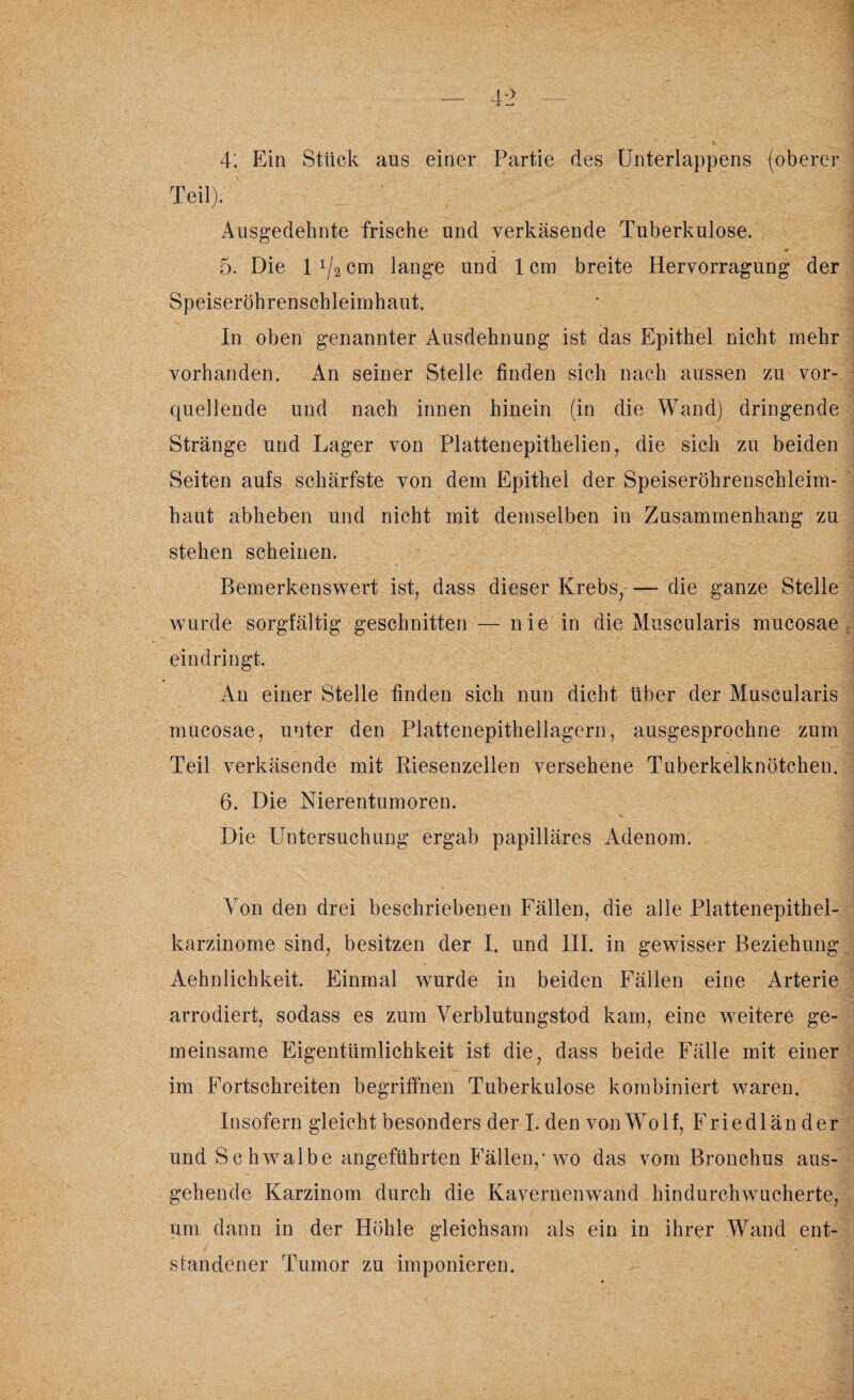 4*. Ein Stück ans einer Partie des Unterlappens (oberer Teil). j Ausgedehnte frische und verkäsende Tuberkulose. 5. Die 1 1/2 cm lange und 1 cm breite Hervorragung der Speiseröhrenschleimhaut. In oben genannter Ausdehnung ist das Epithel nicht mehr vorhanden. An seiner Stelle finden sich nach aussen zu vor¬ quellende und nach innen hinein (in die Wand) dringende Stränge und Lager von Plattenepithelien, die sich zu beiden Seiten aufs schärfste von dem Epithel der Speiseröhrenschleim¬ haut abheben und nicht mit demselben in Zusammenhang zu stehen scheinen. Bemerkenswert ist, dass dieser Krebs, — die ganze Stelle wurde sorgfältig geschnitten — nie in die Muscularis mucosae ein dringt. An einer Stelle finden sich nun dicht Uber der Muscularis mucosae, unter den Plattenepithellagern, ausgesprochne zum Teil verkäsende mit Riesenzellen versehene Tuberkelknötchen. 6. Die Nierentumoren. Die Untersuchung ergab papilläres Adenom. Von den drei beschriebenen Fällen, die alle Plattenepithel¬ karzinome sind, besitzen der I. und III. in gewisser Beziehung Aehnlichkeit. Einmal wurde in beiden Fällen eine Arterie arrodiert, sodass es zum Verblutungstod kam, eine weitere ge¬ meinsame Eigentümlichkeit ist die, dass beide Fälle mit einer im Fortschreiten begriffnen Tuberkulose kombiniert waren. Insofern gleicht besonders derl. den von Wolf, Friedländer und S c hwalbe angeführten Fällen,* wo das vom Bronchus aus¬ gehende Karzinom durch die Kavernenwand hindurchwucherte, um dann in der Höhle gleichsam als ein in ihrer Wand ent¬ standener Tumor zu imponieren.