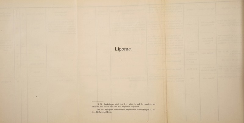 Lipome. N. B. Angiolipome sind von Berenbruch und Liebseher be¬ schrieben und finden sich bei den Angiomen angeführt. Die als Myolipome bezeichneten angeborenen Missbildungen s. bei den Mischgeschwülsten.