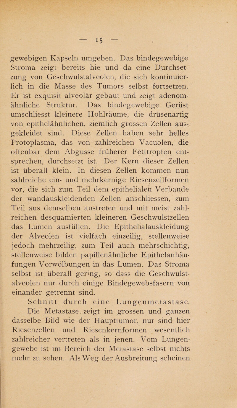 gewebigen Kapseln umgeben. Das bindegewebige Stroma zeigt bereits hie und da eine Durchset¬ zung von Geschwulstalveolen, die sich kontinuier¬ lich in die Masse des Tumors selbst fortsetzen. Er ist exquisit alveolär gebaut und zeigt adenom¬ ähnliche Struktur. Das bindegewebige Gerüst umschliesst kleinere Hohlräume, die drüsenartig von epithelähnlichen, ziemlich grossen Zellen aus¬ gekleidet sind. Diese Zellen haben sehr helles Protoplasma, das von zahlreichen Vacuolen, die offenbar dem Abgusse früherer Fetttropfen ent¬ sprechen, durchsetzt ist. Der Kern dieser Zellen ist überall klein. In diesen Zellen kommen nun zahlreiche ein- und mehrkernige Riesenzellformen vor, die sich zum Teil dem epithelialeh Verbände der wandauskleidenden Zellen anschliessen, zum Teil aus demselben austreten und mit meist zahl¬ reichen desquamierten kleineren Geschwulstzellen das Lumen ausfüllen. Die Epithelialauskleidung der Alveolen ist vielfach einzeilig, stellenweise jedoch mehrzeilig, zum Teil auch mehrschichtig, stellenweise bilden papillenähnliche Epithelanhäu¬ fungen Vorwölbungen in das Lumen. Das Stroma selbst ist überall gering, so dass die Geschwulst¬ alveolen nur durch einige Bindegewebsfasern von einander getrennt sind. Schnitt durch eine Lungenmetastase. Die Metastase. zeigt im grossen und ganzen dasselbe Bild wie der Haupttumor, nur sind hier Riesenzellen und Riesenkernformen wesentlich zahlreicher vertreten als in jenen. Vom Lungen¬ gewebe ist im Bereich der Metastase selbst nichts mehr zu sehen. Als Weg der Ausbreitung scheinen