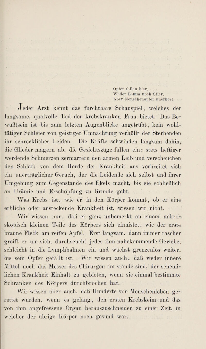 Opfer fallen hier, Weder Lamm noch Stier, Aber Menschenopfer unerhört. Jeder Arzt kennt das furchtbare Schauspiel, welches der langsame, qualvolle Tod der krebskranken Frau bietet. Das Be¬ wußtsein ist bis zum letzten Augenblicke ungetrübt, kein wohl¬ tätiger Schleier von geistiger Umnachtung verhüllt der Sterbenden ihr schreckliches Leiden. Die Kräfte schwinden langsam dahin, die Glieder magern ah, die Gesichtszüge fallen ein; stets heftiger werdende Schmerzen zermartern den armen Leib und verscheuchen den Schlaf; von dem Herde der Krankheit aus verbreitet sich ein unerträglicher Geruch, der die Leidende sich selbst und ihrer Umgebung zum Gegenstände des Ekels macht, bis sie schließlich an Urämie und Erschöpfung zu Grunde geht. Was Krebs ist, wie er in den Körper kommt, oh er eine erbliche oder ansteckende Krankheit ist, wissen wir nicht. Wir wissen nur, daß er ganz unbemerkt an einem mikro¬ skopisch kleinen Teile des Körpers sich einnistet, wie der erste braune Fleck am reifen Apfel. Erst langsam, dann immer rascher greift er um sich, durchseucht jedes ihm nahekommende Gewebe, schleicht in die Lymphbahnen ein und wächst grenzenlos weiter, bis sein Opfer gefällt ist. Wir wissen auch, daß weder innere Mittel noch das Messer des Chirurgen im stände sind, der scheuß¬ lichen Krankheit Einhalt zu gebieten, wenn sie einmal bestimmte Schranken des Körpers durchbrochen hat. Wir wissen aber auch, daß Hunderte von Menschenleben ge¬ rettet wurden, wenn es gelang, den ersten Krebskeim und das von ihm angefressene Organ herauszuschneiden zu einer Zeit, in welcher der übrige Körper noch gesund war.