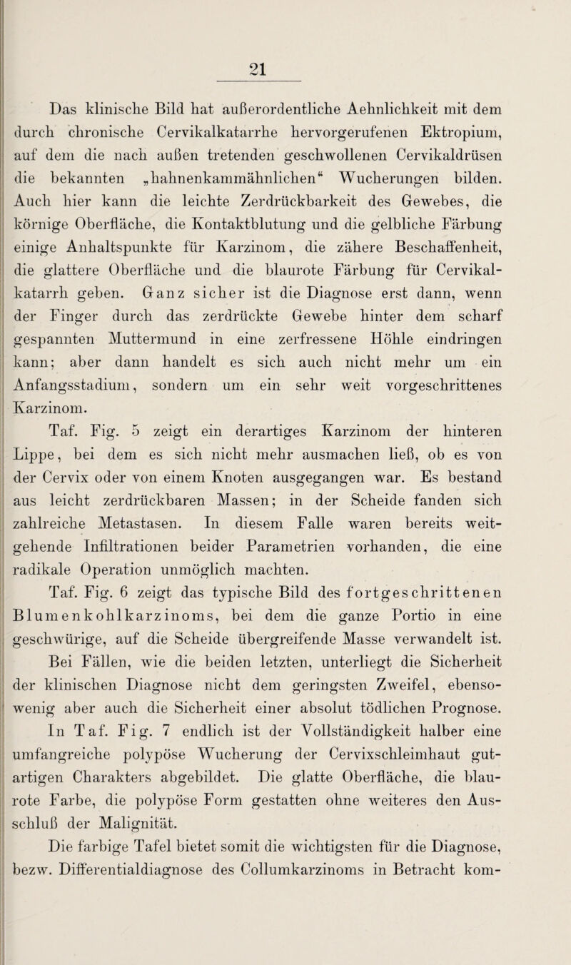 Das klinische Bild hat außerordentliche Aehnlichkeit mit dem durch chronische Cervikalkatarrhe hervorgerufenen Ektropium, auf dem die nach außen tretenden geschwollenen Cervikaldrüsen die bekannten „hahnenkammähnlichen“ Wucherungen bilden. Auch hier kann die leichte Zerdrückbarkeit des Gewebes, die körnige Oberfläche, die Kontaktblutung und die gelbliche Färbung einige Anhaltspunkte für Karzinom, die zähere Beschaffenheit, die glattere Oberfläche und die blaurote Färbung für Cervikal- katarrh geben. Ganz sicher ist die Diagnose erst dann, wenn der Finger durch das zerdrückte Gewebe hinter dem scharf gespannten Muttermund in eine zerfressene Höhle eindringen kann; aber dann handelt es sich auch nicht mehr um ein Anfangsstadium, sondern um ein sehr weit vorgeschrittenes Karzinom. Taf. Fig. 5 zeigt ein derartiges Karzinom der hinteren Lippe, bei dem es sich nicht mehr ausmachen ließ, ob es von der Cervix oder von einem Knoten ausgegangen war. Es bestand aus leicht zerdrückbaren Massen; in der Scheide fanden sich zahlreiche Metastasen. In diesem Falle waren bereits weit¬ gehende Infiltrationen beider Parametrien vorhanden, die eine radikale Operation unmöglich machten. Taf. Fig. 6 zeigt das typische Bild des fortgeschrittenen Blumenkohlkarzinoms, bei dem die ganze Portio in eine geschwürige, auf die Scheide übergreifende Masse verwandelt ist. Bei Fällen, wie die beiden letzten, unterliegt die Sicherheit der klinischen Diagnose nicht dem geringsten Zweifel, ebenso¬ wenig aber auch die Sicherheit einer absolut tödlichen Prognose. In Taf. Fig. 7 endlich ist der Vollständigkeit halber eine umfangreiche polypöse Wucherung der Cervixschleimhaut gut¬ artigen Charakters abgebildet. Die glatte Oberfläche, die blau¬ rote Farbe, die polypöse Form gestatten ohne weiteres den Aus¬ schluß der Malignität. Die farbige Tafel bietet somit die wichtigsten für die Diagnose, bezw. Differentialdiagnose des Collumkarzinoms in Betracht kom-