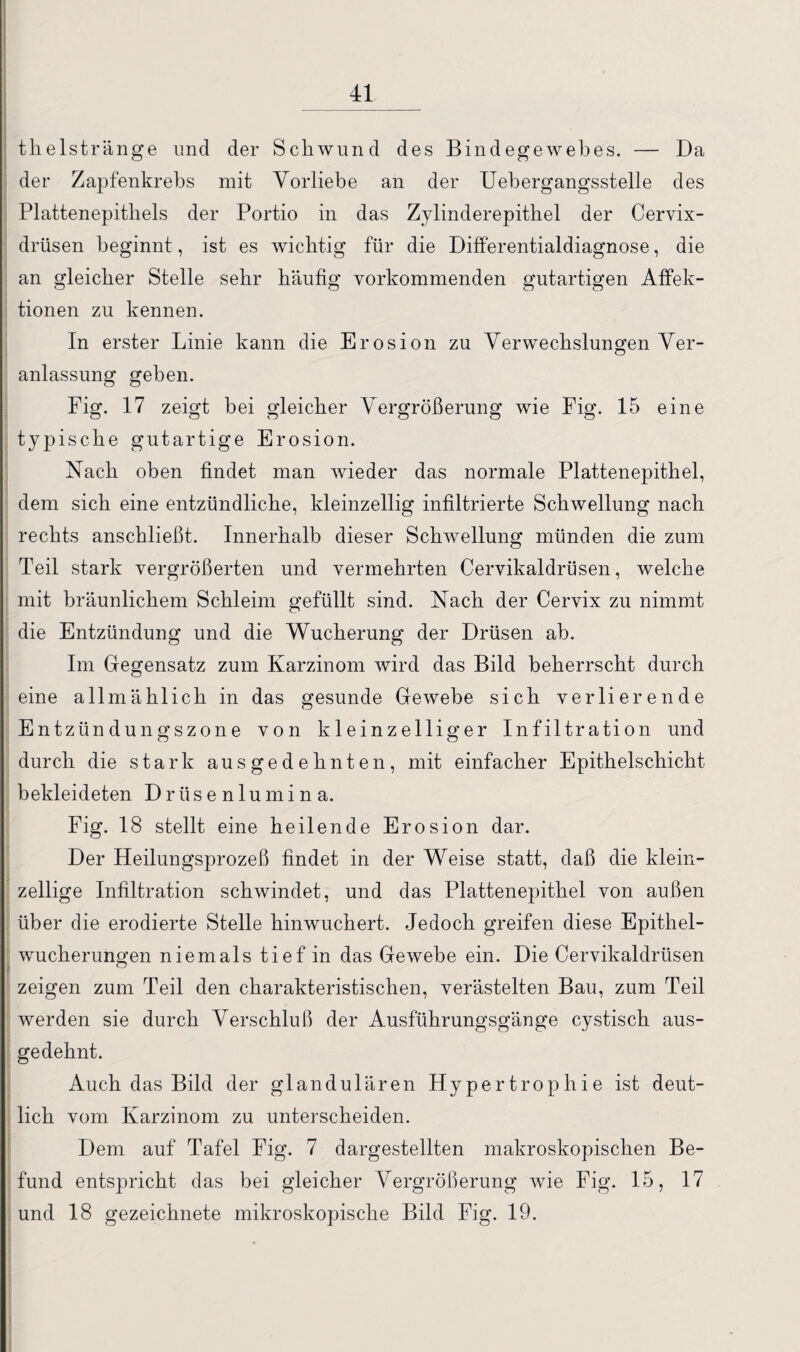 thelstränge und der Schwund des Bindegewebes. — Da der Zapfenkrebs mit Vorliebe an der Uebergangsstelle des Plattenepithels der Portio in das Zylinderepithel der Cervix¬ drüsen beginnt, ist es wichtig für die Differentialdiagnose, die an gleicher Stelle sehr häufig vorkommenden gutartigen Affek¬ tionen zu kennen. In erster Linie kann die Erosion zu Verwechslungen Ver¬ anlassung geben. Fig. 17 zeigt bei gleicher Vergrößerung wie Fig. 15 eine typische gutartige Erosion. Nach oben findet man wieder das normale Plattenepithel, dem sich eine entzündliche, kleinzellig infiltrierte Schwellung nach rechts anschließt. Innerhalb dieser Schwellung münden die zum Teil stark vergrößerten und vermehrten Cervikaldrüsen, welche mit bräunlichem Schleim gefüllt sind. Nach der Cervix zu nimmt die Entzündung und die Wucherung der Drüsen ah. Im Gegensatz zum Karzinom wird das Bild beherrscht durch eine allmählich in das gesunde Gewebe sich verlierende Entzündungszone von kleinzelliger Infiltration und durch die stark ausgedehnten, mit einfacher Epithelschicht bekleideten Drüsenlumina. Fig. 18 stellt eine heilende Erosion dar. Der Heilungsprozeß findet in der Weise statt, daß die klein¬ zellige Infiltration schwindet, und das Plattenepithel von außen über die erodierte Stelle hinwuchert. Jedoch greifen diese Epithel- wucherungen niemals tief in das Gewebe ein. Die Cervikaldrüsen zeigen zum Teil den charakteristischen, verästelten Bau, zum Teil werden sie durch Verschluß der Ausführungsgänge cystisch aus¬ gedehnt. Auch das Bild der glandulären Hypertrophie ist deut¬ lich vom Karzinom zu unterscheiden. Dem auf Tafel Fig. 7 dargestellten makroskopischen Be¬ fund entspricht das bei gleicher Vergrößerung wie Fig. 15, 17 und 18 gezeichnete mikroskopische Bild Fig. 19.