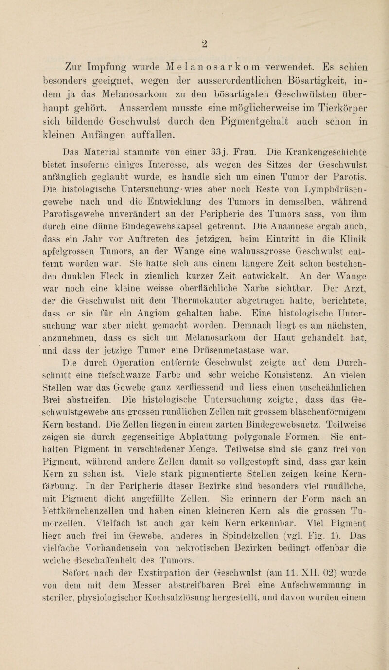 Zur Impfung wurde Melanosarko m verwendet. Es schien besonders geeignet, wegen der ausserordentlichen Bösartigkeit, in¬ dem ja das Melanosarkom zu den bösartigsten Geschwülsten über¬ haupt gehört. Ausserdem musste eine möglicherweise im Tierkörper sich bildende Geschwulst durch den Pigmentgehalt auch schon in kleinen Anfängen auffallen. Das Material stammte von einer 33j. Frau. Die Krankengeschichte bietet insoferne einiges Interesse, als wegen des Sitzes der Geschwulst anfänglich geglaubt wurde, es handle sich um einen Tumor der Parotis. Die histologische Untersuchung-wies aber noch Beste von Lymphdrüsen- gewebe nach und die Entwicklung des Tumors in demselben, während Parotisgewebe unverändert an der Peripherie des Tumors sass, von ihm durch eine diinne Bindege webskapsel getrennt. Die Anamnese ergab auch, dass ein Jahr vor Auftreten des jetzigen, beim Eintritt in die Klinik apfelgrossen Tumors, an der Wange eine walnussgrosse Geschwulst ent¬ fernt worden war. Sie hatte sich aus einem längere Zeit schon bestehen¬ den dunklen Fleck in ziemlich kurzer Zeit entwickelt. An der Wange war noch eine kleine weisse oberflächliche Narbe sichtbar. Der Arzt, der die Geschwulst mit dem Thermokauter abgetragen hatte, berichtete, dass er sie für ein Angiom gehalten habe. Eine histologische Unter¬ suchung war aber nicht gemacht worden. Demnach liegt es am nächsten, anzunehmen, dass es sich um Melanosarkom der Haut gehandelt hat, und dass der jetzige Tumor eine Drtisenmetastase war. Die durch Operation entfernte Geschwulst zeigte auf dem Durch¬ schnitt eine tiefschwarze Farbe und sehr weiche Konsistenz. An vielen Stellen war das Gewebe ganz zerfliessend und liess einen tuscheähnlichen Brei abstreifen. Die histologische Untersuchung zeigte, dass das Ge¬ schwulstgewebe aus grossen rundlichen Zellen mit grossem bläschenförmigem Kern bestand. Die Zellen liegen in einem zarten Bindegewebsnetz. Teilweise zeigen sie durch gegenseitige Abplattung polygonale Formen. Sie ent¬ halten Pigment in verschiedener Menge. Teilweise sind sie ganz frei von Pigment, während andere Zellen damit so vollgestopft sind, dass gar kein Kern zu sehen ist. Viele stark pigmentierte Stellen zeigen keine Kern¬ färbung. In der Peripherie dieser Bezirke sind besonders viel rundliche, mit Pigment dicht angefiillte Zellen. Sie erinnern der Form nach an Fettkörnchenzellen und haben einen kleineren Kern als die grossen Tn- morzellen. Vielfach ist auch gar kein Kern erkennbar. Viel Pigment liegt auch frei im Gewebe, anderes in Spindelzellen (vgl. Fig. 1). Das vielfache Vorhandensein von nekrotischen Bezirken bedingt offenbar die weiche Beschaffenheit des Tumors. Sofort nach der Exstirpation der Geschwulst (am 11. XII. 02) wurde von dem mit dem Messer abstreifbaren Brei eine Aufschwemmung in steriler, physiologischer Kochsalzlösung hergestellt, und davon wurden einem