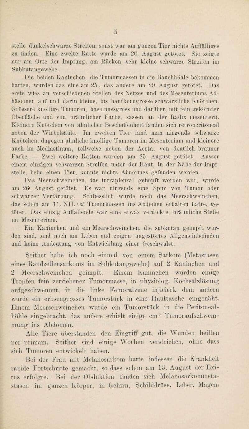 stelle dunkel schwarze Streifen, sonst war am ganzen Tier nichts Auffälliges zu finden. Eine zweite Ratte wurde am 20. August getötet. Sie zeigte nur am Orte der Impfung, am Rücken, sehr kleine schwarze Streifen im Subkutangewebe. Die beiden Kaninchen, die Tumormassen in die Bauchhöhle bekommen hatten, wurden das eine am 25., das andere am 29. August getötet. Das erste wies an verschiedenen Stellen des Netzes und des Mesenteriums Ad¬ häsionen auf und darin kleine, bis hanfkorngrosse schwärzliche Knötchen. Grössere knollige Tumoren, haselnussgross und darüber, mit fein gekörnter Oberfläche und von bräunlicher Farbe, sassen an der Radix mesenterii. Kleinere Knötchen von ähnlicher Beschaffenheit fanden sich retroperitoneal neben der Wirbelsäule. Im zweiten Tier fand man nirgends schwarze Knötchen, dagegen ähnliche knollige Tumoren im Mesenterium und kleinere auch im Mediastinum, teilweise neben der Aorta, von deutlich brauner Farbe. — Zwei weitere Ratten wurden am 25. August getötet. Ausser einem einzigen schwarzen Streifen unter der Haut, in der Nähe der Impf¬ stelle, beim einen Tier, konnte nichts Abnormes gefunden werden. Das Meerschweinchen, das intrapleural geimpft worden war, wurde am 26». August getötet. Es war nirgends eine Spur von Tumor oder schwarzer Verfärbung. Schliesslich wurde noch das Meerschweinchen, das schon am 11. XII. 02 Tumormassen ins Abdomen erhalten hatte, ge¬ tötet. Das einzig Auffallende war eine etwas verdickte, bräunliche Stelle im Mesenterium. Ein Kaninchen und ein Meerschweinchen, die subkutan geimpft wor¬ den sind, sind noch am Leben und zeigen ungestörtes Allgemeinbefinden und keine Andeutung von Entwicklung einer Geschwulst. Seither habe ich noch einmal von einem Sarkom (Metastasen eines Randzellensarkoms im Subkutangewebe) auf 2 Kaninchen und 2 Meerschweinchen geimpft. Einem Kaninchen wurden einige Tropfen fein zerriebener Tumormasse, in physiolog. Kochsalzlösung aufgeschwemmt, in die linke Femoralvene injiciert, dem andern wurde ein erbsengrosses Tumorstück in eine Hauttasche eingenäht. Einem Meerschweinchen wurde ein Tumorstück in die Peritoneal¬ höhle eingebracht, das andere erhielt einige cm3 Tumoraufschwem¬ mung ins Abdomen. Alle Tiere überstanden den Eingriff gut, die Wunden heilten per prim am. Seither sind einige Wochen verstrichen, ohne dass sich Tumoren entwickelt haben. Bei der Frau mit Melanosarkom hatte indessen die Krankheit rapide Fortschritte gemacht, so dass schon am 13. August der Exi¬ tus erfolgte. Bei der Obduktion fanden sich Melanosarkommeta- stasen im ganzen Körper, in Gehirn, Schilddrüse, Leber, Magen?