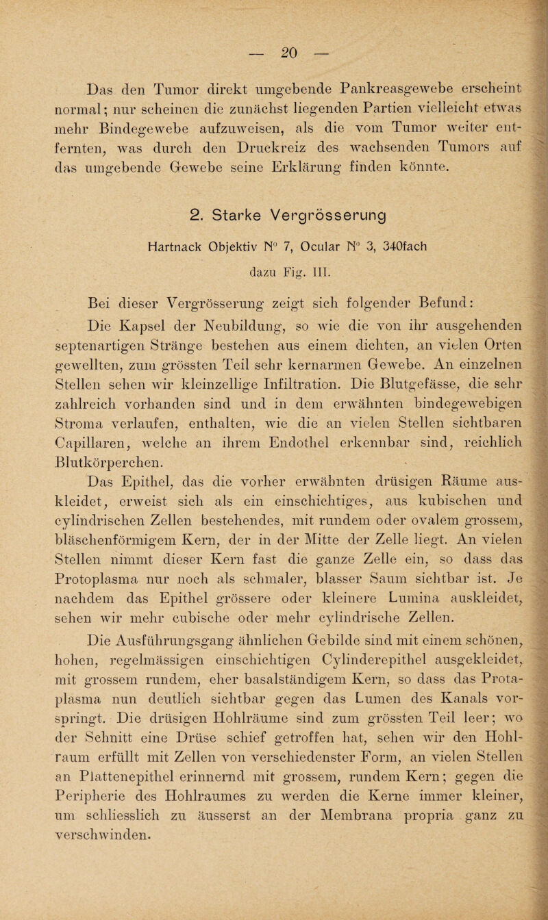 Das den Tumor direkt umgebende Pankreasgewebe erscheint normal; nur scheinen die zunächst liegenden Partien vielleicht etwas mehr Bindegewebe aufzuweisen, als die vom Tumor weiter ent¬ fernten, was durch den Druckreiz des wachsenden Tumors auf das umgebende Gewebe seine Erklärung finden könnte. 2. Starke Vergrösserung Hartnack Objektiv N° 7, Ocular N° 3, 340fach dazu Fig. III. Bei dieser Vergrösserung zeigt sich folgender Befund: Die Kapsel der Neubildung, so wie die von ihr ausgehenden septenartigen Stränge bestehen aus einem dichten, an vielen Orten gewellten, zum grössten Teil sehr kernarmen Gewebe. An einzelnen Stellen sehen wir kleinzellige Infiltration. Die Blutgefässe, die sehr zahlreich vorhanden sind und in dem erwähnten bindegewebigen Stroma verlaufen, enthalten, wie die an vielen Stellen sichtbaren Capillaren, welche an ihrem Endothel erkennbar sind, reichlich Blutkörperchen. Das Epithel, das die vorher erwähnten drüsigen Räume aus¬ kleidet, erweist sich als ein einschichtiges, aus kubischen und cylindrischen Zellen bestehendes, mit rundem oder ovalem gTossem, bläschenförmigem Kern, der in der Mitte der Zelle liegt. An vielen Stellen nimmt dieser Kern fast die ganze Zelle ein, so dass das Protoplasma nur noch als schmaler, blasser Saum sichtbar ist. Je nachdem das Epithel grössere oder kleinere Lumina auskleidet, sehen wir mehr cubische oder mehr cylindrische Zellen. Die Ausführungsgang ähnlichen Gebilde sind mit einem schönen, hohen, regelmässigen einschichtigen Cylinderepithel ausgekleidet, mit grossem rundem, eher basalständigem Kern, so dass das Prota- plasma nun deutlich sichtbar gegen das Lumen des Kanals vor¬ springt. Die drüsigen Hohlräume sind zum grössten Teil leer; wo der Schnitt eine Drüse schief getroffen hat, sehen wir den Hohl¬ raum erfüllt mit Zellen von verschiedenster Form, an vielen Stellen an Plattenepithel erinnernd mit grossem, rundem Kern; gegen die Peripherie des Hohlraumes zu werden die Kerne immer kleiner, um schliesslich zu äusserst an der Membrana propria ganz zu verschwinden.