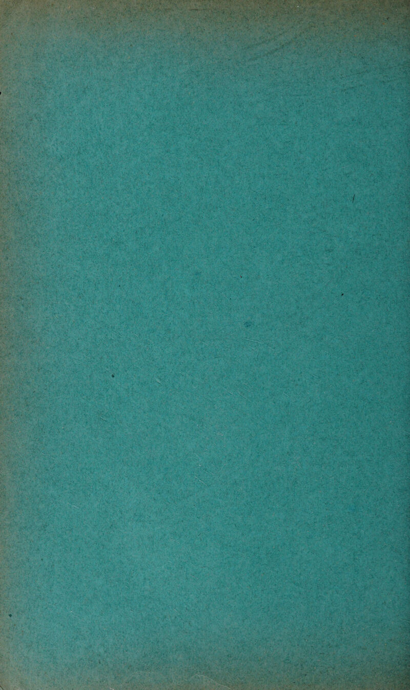 . V- i,-y'. ^£g| tfgijij r;ii» \