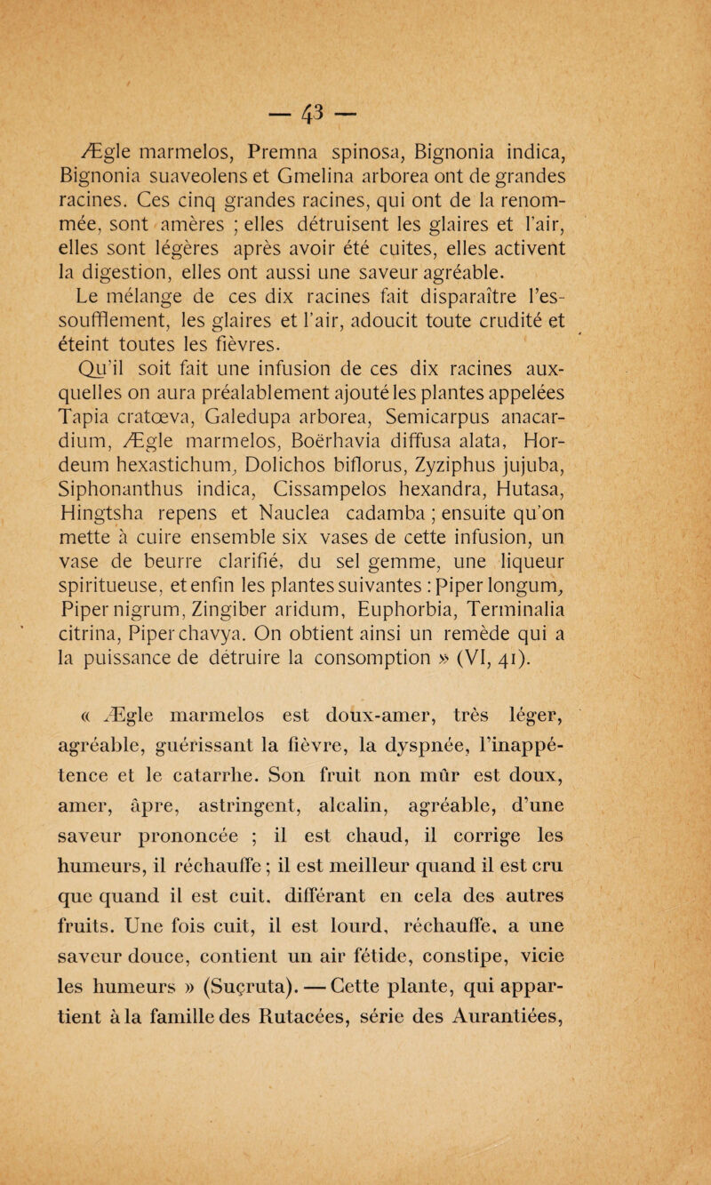 Ægle marmelos, Premna spinosa, Bignonia indica, Bignonia suaveolens et Gmelina arborea ont de grandes racines. Ces cinq grandes racines, qui ont de la renom¬ mée, sont amères ; elles détruisent les glaires et l’air, elles sont légères après avoir été cuites, elles activent la digestion, elles ont aussi une saveur agréable. Le mélange de ces dix racines fait disparaître l’es¬ soufflement, les glaires et l’air, adoucit toute crudité et éteint toutes les fièvres. Qu’il soit fait une infusion de ces dix racines aux¬ quelles on aura préalablement ajouté les plantes appelées Tapia cratœva, Galedupa arborea, Semicarpus anacar- dium, Ægle marmelos, Boërhavia diffusa alata, Hor- deuin hexastichum, Dolichos biflorus, Zyziphus jujuba, Siphonanthus indica, Cissampelos hexandra, Hutasa, Hingtsha repens et Nauclea cadamba ; ensuite qu’on mette à cuire ensemble six vases de cette infusion, un vase de beurre clarifié, du sel gemme, une liqueur spiritueuse, et enfin les plantes suivantes : piper longum. Piper nigrum, Zingiber aridum, Euphorbia, Terminalia citrina, Piper chavya. On obtient ainsi un remède qui a la puissance de détruire la consomption » (VI, 41). « Ægle marmelos est doux-amer, très léger, agréable, guérissant la fièvre, la dyspnée, l’inappé¬ tence et le catarrhe. Son fruit non mûr est doux, amer, âpre, astringent, alcalin, agréable, d’une saveur prononcée ; il est chaud, il corrige les humeurs, il réchauffe ; il est meilleur quand il est cru que quand il est cuit, différant en cela des autres fruits. Une fois cuit, il est lourd, réchauffe, a une saveur douce, contient un air fétide, constipe, vicie les humeurs » (Suçruta). — Cette plante, qui appar¬ tient à la famille des Rutacées, série des Aurantiées,