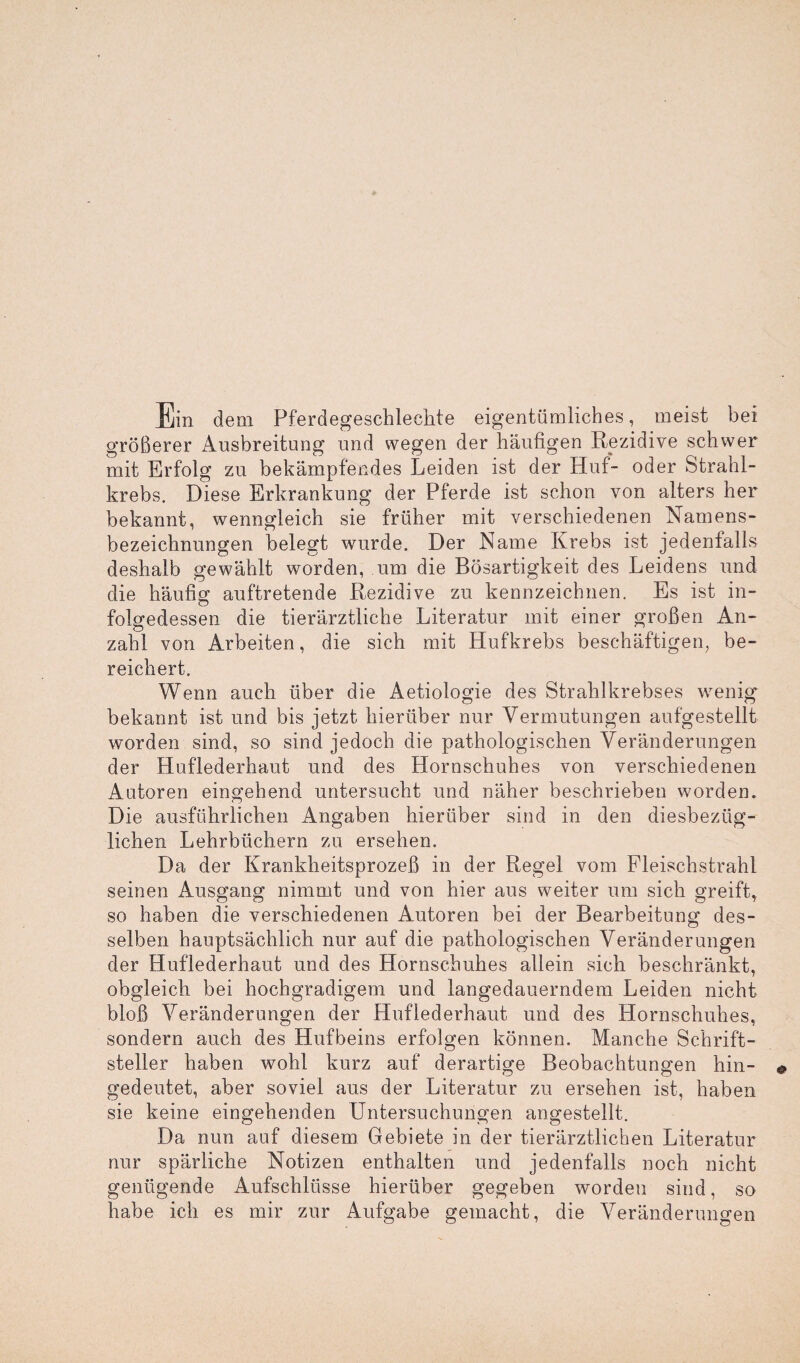 Ein dem Pferdegeschleehte eigentümliches, meist bei größerer Ausbreitung und wegen der häufigen Rezidive schwer mit Erfolg zu bekämpfendes Leiden ist der Huf- oder Strahl¬ krebs. Diese Erkrankung der Pferde ist schon von alters her bekannt, wenngleich sie früher mit verschiedenen Namens¬ bezeichnungen belegt wurde. Der Name Krebs ist jedenfalls deshalb gewählt worden, um die Bösartigkeit des Leidens und die häufig auftretende Rezidive zu kennzeichnen. Es ist in¬ folgedessen die tierärztliche Literatur mit einer großen An¬ zahl von Arbeiten, die sich mit Hufkrebs beschäftigen, be¬ reichert. Wenn auch über die Aetiologie des Strahlkrebses wenig bekannt ist und bis jetzt hierüber nur Vermutungen aufgestellt worden sind, so sind jedoch die pathologischen Veränderungen der Huflederhaut und des Hornschuhes von verschiedenen Autoren eingehend untersucht und näher beschrieben worden. Die ausführlichen Angaben hierüber sind in den diesbezüg¬ lichen Lehrbüchern zu ersehen. Da der Krankheitsprozeß in der Regel vom Fleischstrahl seinen Ausgang nimmt und von hier aus weiter um sich greift, so haben die verschiedenen Autoren bei der Bearbeitung des¬ selben hauptsächlich nur auf die pathologischen Veränderungen der Huflederhaut und des Hornschuhes allein sich beschränkt, obgleich bei hochgradigem und langedauerndem Leiden nicht bloß Veränderungen der Huflederhaut und des Hornschuhes, sondern auch des Hufbeins erfolgen können. Manche Schrift¬ steller haben wohl kurz auf derartige Beobachtungen hin¬ gedeutet, aber soviel aus der Literatur zu ersehen ist, haben sie keine eingehenden Untersuchungen angestellt. Da nun auf diesem Gebiete in der tierärztlichen Literatur nur spärliche Notizen enthalten und jedenfalls noch nicht genügende Aufschlüsse hierüber gegeben worden sind, so habe ich es mir zur Aufgabe gemacht, die Veränderungen