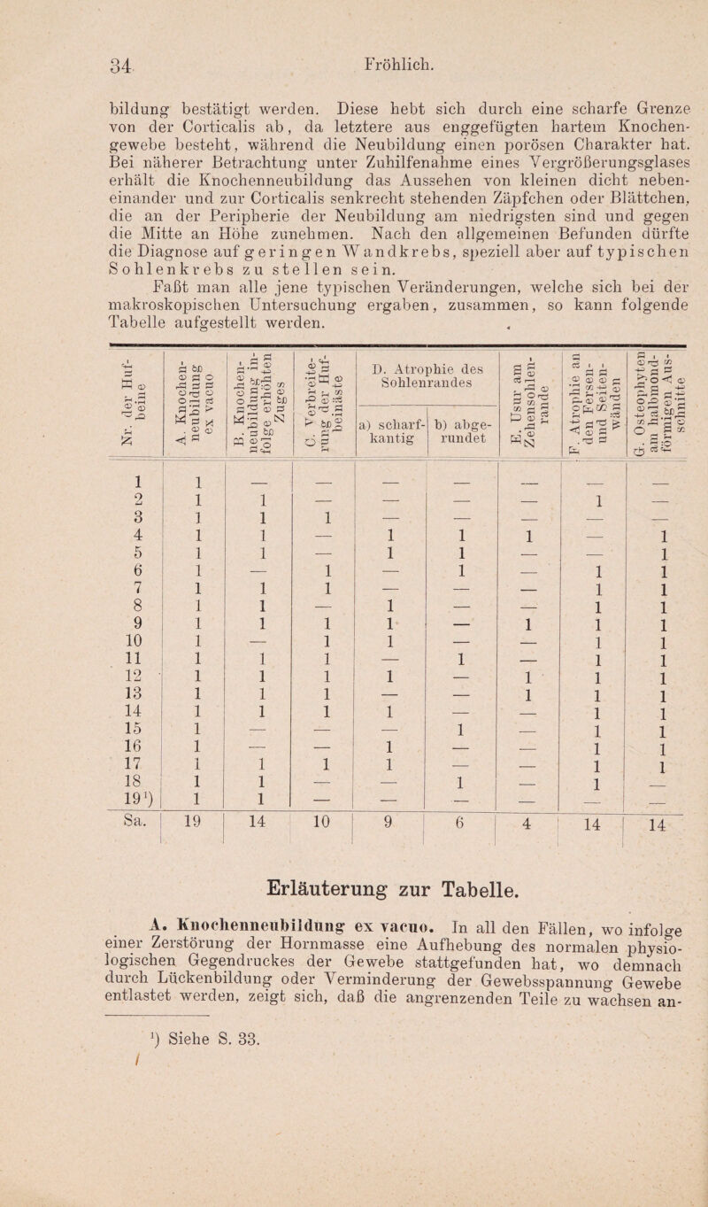 bildung bestätigt werden. Diese hebt sich durch eine scharfe Grenze von der Corticalis ab, da letztere aus enggefügten hartem Knochen¬ gewebe besteht, während die Neubildung einen porösen Charakter hat. Bei näherer Betrachtung unter Zuhilfenahme eines Vergrößerungsglases erhält die Knochenneubildung das Aussehen von kleinen dicht neben¬ einander und zur Corticalis senkrecht stehenden Zäpfchen oder Blättchen, die an der Peripherie der Neubildung am niedrigsten sind und gegen die Mitte an Flöhe zunehmen. Nach den allgemeinen Befunden dürfte die Diagnose auf geringen Wandkrebs, speziell aber auf typischen Sohlenkrebs zu stellen sein. Faßt man alle jene typischen Veränderungen, welche sich bei der makroskopischen Untersuchung ergaben, zusammen, so kann folgende Tabelle aufgestellt werden. Nr. der Huf¬ beine Ö OJD ÜrjJ Ü Oi-I ej B. Knochen¬ neubildung in¬ folge erhöhten Zuges i cA| © a * h rn fn CD uH +5 r. m -P ® «3 D. Atrophie des Sohlenrandes E. Usur am Zehensohlen¬ rande i i ö ö CD CD <— p. <5 a> ^ ?H 1 • <D r—S C/3 +=> ö £ ^•0<l <D ^ Ö -4—' ÄH H+5 ä# * . <x> CD <j 3 Ö'VS - r-1 o p r—1 a) scharf¬ kantig b) abge¬ rundet O [£. c/j r* Sh ^ :c3 dp > Cgö1 . rÖ PS fc C/2 ^ ’S O 0 8 CO Ö J-H • S :o 1 2 1 1 1 — — — — [ 1 — 3 1 1 1 — — — — — 4 1 1 — 1 1 1 — 1 5 1 1 — 1 1 — — 1 6 1 — 1 — 1 — 1 1 7 1 1 1 — — — 1 1 8 1 1 — 1 — -■' 1 1 9 1 1 1 1 — 1 1 1 10 1 — 1 1 — — 1 1 11 1 1 1 — 1 — 1 1 12 ' 1 1 1 1 — 1 1 1 13 1 1 1 — — 1 1 1 14 1 1 1 1 — — 1 1 15 1 — — — 1 — 1 1 16 1 — — 1 — — 1 1 17 1 1 1 1 — — 1 1 18 1 1 — — 1 — 1 19J) | 1 1 — — — — — Sa. 19 ■i 14 10 9 6 ! 4 14 14 Erläuterung zur Tabelle. A. Knochenneübildung ex vacuo. In all den Fällen, wo infolge einer Zerstörung der Hornmasse eine Aufhebung des normalen physio¬ logischen Gegendruckes der Gewebe stattgefunden hat, wo demnach durch Lückenbildung oder Verminderung der Gewebsspannung Gewebe entlastet werden, zeigt sich, daß die angrenzenden Teile zu wachsen an- x) Siehe S. 33. /