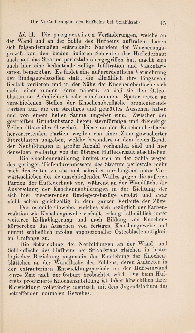 Ad II. Die progressiven Veränderungen, welche an der Wand und an der Sohle des Hufbeins auftraten, haben sich folgendermaßen entwickelt: Nachdem der Wucherungs¬ prozeß von den beiden äußeren Schichten der Huflederhaut auch auf das Stratum periostale übergegriffen hat, macht sich auch hier eine bedeutende zellige Infiltration und Vaskulari¬ sation bemerkbar. Es findet eine außerordentliche Vermehrung der Bindegewebszellen statt, die allmählich ihre längsovale Gestalt verlieren und in der Nähe der Knochenoberfläche sich mehr einer runden Form nähern, so daß sie den Osteo¬ blasten an Aehnlichkeit sehr nahekommen. Später treten an verschiedenen Stellen der Knochenoberfläche promenierende Partien auf, die ein streifiges und getrübtes Aussehen haben und von einem hellen Saume amgeben sind. Zwischen der gestreiften Grundsubstanz liegen sternförmige und dreieckige Zellen (Osteoides Gewebe). Diese an der Knochenoberfläche hervortretenden Partien werden von einer Zone gewucherter Fibroblasten umgeben, welche besonders an dem freien Rande der Neubildungen in großer Anzahl vorhanden sind und hier denselben wallartig von der übrigen Huflederhaut abschließen. Die Knochenneubildung breitet sich an der Sohle wegen des geringen Tiefendurchmessers des Stratum periostale mehr nach den Seiten zu aus und schreitet nur langsam unter Vor¬ wärtsschieben des sie umschließenden Walles gegen die äußeren Partien der Huflederhaut vor, während an der Wandfläche die Ausbreitung der Knochenneubildungen in der Richtung der sich hier inserierenden Bindegewebszüge erfolgt und zwar nicht selten gleichzeitig in dem ganzen Verlaufe der Züge. Das osteoide Gewebe, welches sich bezüglich der Farben¬ reaktion wie Knochengewebe verhält, erlangt allmählich unter weiterer Kalkablagerung und nach Bildung von Knochen¬ körperchen das Aussehen von fertigem Knochengewebe und nimmt schließlich infolge appositioneller Osteoblastentätigkeit an Umfange zu. Die Entwicklung der Neubildungen an der Wand- und Sohlenfläche des Hufbeins bei Strahlkrebs gleichen in histo¬ logischer Beziehung ungemein der Entstehung der Knochen¬ blättchen an der Wandfläche des Fohlens, deren Auftreten in der extrauterinen Entwicklungsperiode an der Hufbeinwand kurze Zeit nach der Geburt beobachtet wird. Die beim Huf¬ krebs produzierte Knochenzubildung ist daher hinsichtlich ihrer Entwicklung vollständig identisch mit dem Jugendstadium des betreffenden normalen Gewebes.