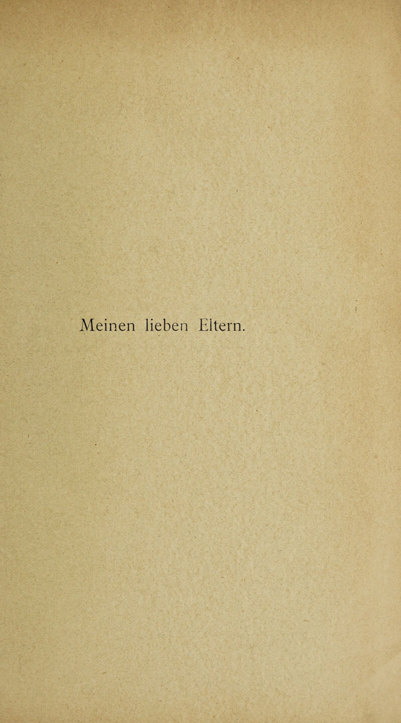 Meinen lieben Eitern.