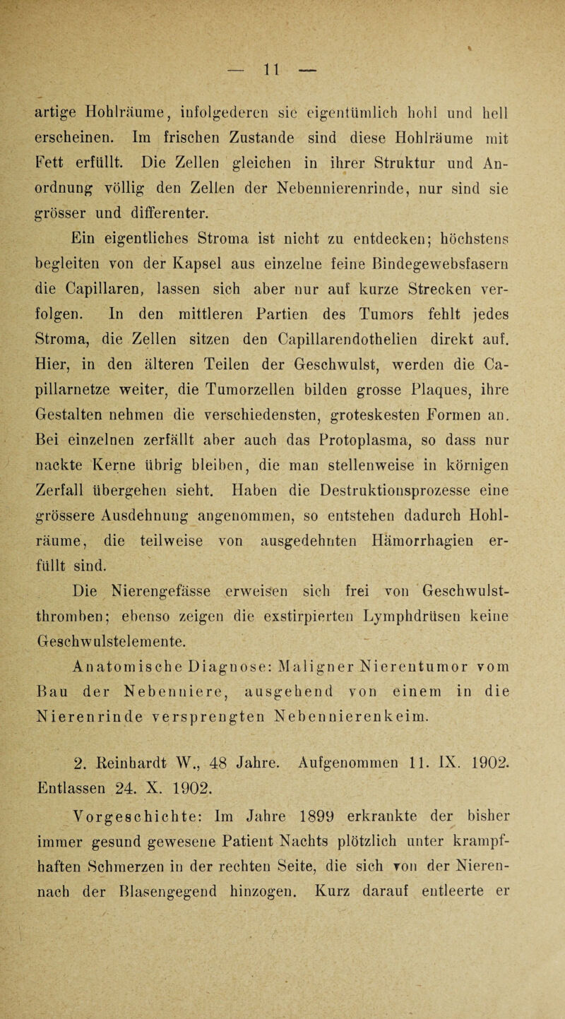artige Hohlräume, infolgederen sie eigentümlich hohl und hell erscheinen. Im frischen Zustande sind diese Hohlräume mit Fett erfüllt. Die Zellen gleichen in ihrer Struktur und An¬ ordnung völlig den Zellen der Nebennierenrinde, nur sind sie grösser und differenter. Ein eigentliches Stroma ist nicht zu entdecken; höchstens begleiten von der Kapsel aus einzelne feine Bindegewebsfasern die Capillaren, lassen sich aber nur auf kurze Strecken ver¬ folgen. In den mittleren Partien des Tumors fehlt jedes Stroma, die Zellen sitzen den Capillarendothelien direkt auf. Hier, in den älteren Teilen der Geschwulst, werden die Ca- piliarnetze weiter, die Tumorzellen bilden grosse Plaques, ihre Gestalten nehmen die verschiedensten, groteskesten Formen an. Bei einzelnen zerfällt aber auch das Protoplasma, so dass nur nackte Kerne übrig bleiben, die man stellenweise in körnigen Zerfall übergehen sieht. Haben die Destruktionsprozesse eine grössere Ausdehnung angenommen, so entstehen dadurch Hohl¬ räume, die teilweise von ausgedehnten Hämorrhagien er¬ füllt sind. Die Nierengefässe erweisen sich frei von Geschwulst¬ thromben; ebenso zeigen die exstirpierten Lymphdrüsen keine Geschwulstelemente. Anatomische Diagnose: Maligner Nierentumor vom Bau der Nebenniere, ausgehend von einem in die Nierenrinde versprengten Nebennierenkeim. 2. Keinhardt W., 48 Jahre. Aufgenommen 11. IX. 1902. Entlassen 24. X. 1902. Vorgeschichte: Im Jahre 1899 erkrankte der bisher immer gesund gewesene Patient Nachts plötzlich unter krampf¬ haften Schmerzen in der rechten Seite, die sich von der Nieren- nach der Blasengegend hinzogen. Kurz darauf entleerte er