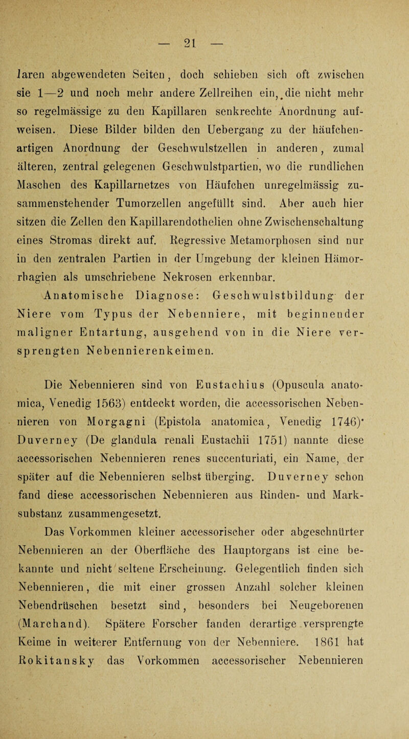 Jaren abgewendeten Seiten, doch schieben sich oft zwischen sie 1—2 und noch mehr andere Zellreihen ein, die nicht mehr so regelmässige zu den Kapillaren senkrechte Anordnung auf¬ weisen. Diese Bilder bilden den Uebergang zu der häufchen¬ artigen Anordnung der Geschwulstzellen in anderen , zumal älteren, zentral gelegenen Geschwulstpartien, wo die rundlichen Maschen des Kapillarnetzes von Häufchen unregelmässig zu¬ sammenstehender Tumorzellen angefüllt sind. Aber auch hier sitzen die Zellen den Kapillarendothelien ohne Zwischenschaltung eines Stromas direkt auf. Regressive Metamorphosen sind nur in den zentralen Partien in der Umgebung der kleinen Hämor- rhagien als umschriebene Nekrosen erkennbar. Anatomische Diagnose: Geschwulstbildung der Niere vom Typus der Nebenniere, mit beginnender maligner Entartung, ausgehend von in die Niere ver¬ sprengten Nebennierenkeimen. Die Nebennieren sind von Eustachius (Opuscula anato- mica, Venedig 1563) entdeckt worden, die accessorischen Neben¬ nieren von Morgagni (Epistola anatomica, Venedig 1746)* Duverney (De glandula renali Eustachii 1751) nannte diese accessorischen Nebennieren renes succenturiati, ein Name, der später auf die Nebennieren selbst überging. Duverney schon fand diese accessorischen Nebennieren aus Rinden- und Mark¬ substanz zusammengesetzt. Das Vorkommen kleiner accessorischer oder abgeschnürter Nebennieren an der Oberfläche des Hauptorgans ist eine be¬ kannte und nicht seltene Erscheinung. Gelegentlich finden sich Nebennieren, die mit einer grossen Anzahl solcher kleinen Nebendrüschen besetzt sind, besonders bei Neugeborenen (Marchand). Spätere Forscher fanden derartige versprengte Keime in weiterer Entfernung von der Nebenniere. 1861 hat Rokitansky das Vorkommen accessorischer Nebennieren
