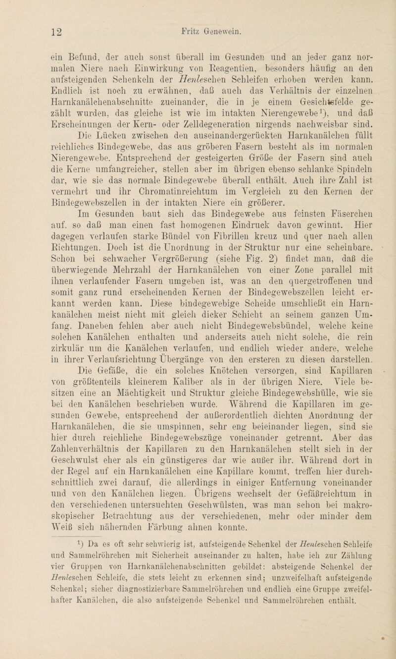 ein Befund, der auch sonst überall im Gesunden und an jeder ganz nor¬ malen Niere nach Einwirkung von Beagentien, besonders häufig an den aufsteigenden Schenkeln der Herde sehen Schleifen erhoben werden kann. Endlich ist noch zu erwähnen, daß auch das Verhältnis der einzelnen Harnkanälchenabschnitte zueinander, die in je einem Gesichtsfelde ge¬ zählt wurden, das gleiche ist wie im intakten Nierengewebe1), und daß Erscheinungen der Kern- oder Zelldegeneration nirgends nachweisbar sind. Hie Lücken zwischen den auseinandergerückten Harnkanälchen füllt reichliches Bindegewebe, das aus gröberen Fasern besteht als im normalen Nierengewebe. Entsprechend der gesteigerten Größe der Fasern sind auch die Kerne umfangreicher, stellen aber im übrigen ebenso schlanke Spindeln dar, wie sie das normale Bindegewebe überall enthält. Auch ihre Zahl ist vermehrt und ihr Chromatinreichtum im Vergleich zu den Kernen der Bindegewebszellen in der intakten Niere ein größerer. Im Gesunden baut sich das Bindegewebe aus feinsten Fäserchen auf, so daß man einen fast homogenen Eindruck davon gewinnt. Hier dagegen verlaufen starke Bündel von Fibrillen kreuz und quer nach allen Bichtungen. Hoch ist die Unordnung in der Struktur nur eine scheinbare. Schon bei schwacher Vergrößerung (siehe Fig. 2) findet man, daß die überwiegende Mehrzahl der Harnkanälchen von einer Zone parallel mit ihnen verlaufender Fasern umgeben ist, was an den quergetroffenen und somit ganz rund erscheinenden Kernen der Bindegewebszellen leicht er¬ kannt werden kann. Hiese bindegewebige Scheide umschließt ein Harn¬ kanälchen meist nicht mit gleich dicker Schicht an seinem ganzen Um¬ fang. Unlieben fehlen aber auch nicht Bindegewebsbündel, welche keine solchen Kanälchen enthalten und anderseits auch nicht solche, die rein zirkulär um die Kanälchen verlaufen, und endlich wieder andere, welche in ihrer Verlaufsrichtung Übergänge von den ersteren zu diesen darstellen, Hie Gefäße, die ein solches Knötchen versorgen, sind Kapillaren von größtenteils kleinerem Kaliber als in der übrigen Niere. Viele be¬ sitzen eine an Mächtigkeit und Struktur gleiche Bindegewebshülle, wie sie bei den Kanälchen beschrieben wurde. Während die Kapillaren im ge¬ sunden Gewebe, entsprechend der außerordentlich dichten Anordnung der Harnkanälchen, die sie umspinnen, sehr eng beieinander liegen, sind sie hier durch reichliche Bindegewebszüge voneinander getrennt. Aber das Zahlenverhältnis der Kapillaren zu den Harnkanälchen stellt sich in der Geschwulst eher als ein günstigeres dar wie außer ihr. Während dort in der Begel auf ein Harnkanälchen eine Kapillare kommt, treffen hier durch¬ schnittlich zwei darauf, die allerdings in einiger Entfernung voneinander und von den Kanälchen liegen. Übrigens wechselt der Gefäßreichtum in den verschiedenen untersuchten Geschwülsten, was man schon bei makro¬ skopischer Betrachtung aus der verschiedenen, mehr oder minder dem Weiß sich nähernden Färbung ahnen konnte. 1) Da es oft sehr schwierig ist, aufsteigende Schenkel der üeu/esehen Schleife und Sammelröhrchen mit Sicherheit auseinander zu halten, habe ich zur Zählung vier Gruppen von Harnkanälchenabschnitten gebildet: absteigende Schenkel der 7/en/eschen Schleife, die stets leicht zu erkennen sind; unzweifelhaft aufsteigende Schenkel; sicher diagnostizierbare Sammelröhrehen und endlich eine Gruppe zweifel¬ hafter Kanälchen, die also aufsteigende Schenkel und Sammelröhrehen enthält.