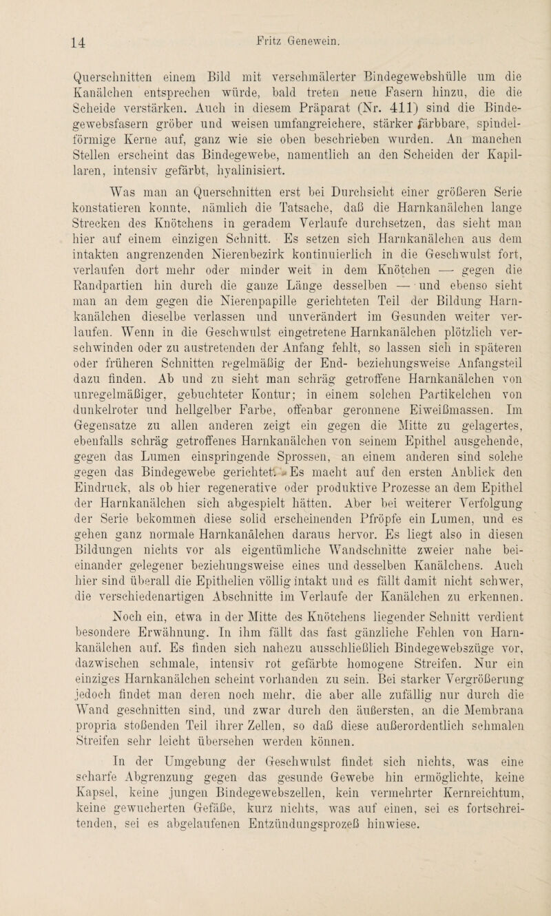 Querschnitten einem Bild mit verschmälerter Bindegewebshülle um die Kanälchen entsprechen würde, bald treten neue Fasern hinzu, die die Scheide verstärken. Auch in diesem Präparat (Nr. 411) sind die Binde¬ gewebsfasern gröber und weisen umfangreichere, stärker färbbare, spindel¬ förmige Kerne auf, ganz wie sie oben beschrieben wurden. An manchen Stellen erscheint das Bindegewebe, namentlich an den Scheiden der Kapil¬ laren, intensiv gefärbt, hyalinisiert. Was man an Querschnitten erst bei Durchsicht einer größeren Serie konstatieren konnte, nämlich die Tatsache, daß die Harnkanälchen lange Strecken des Knötchens in geradem Verlaufe durchsetzen, das sieht man hier auf einem einzigen Schnitt. Es setzen sich Harnkanälchen aus dem intakten angrenzenden Nierenbezirk kontinuierlich in die Geschwulst fort, verlaufen dort mehr oder minder weit in dem Knötchen -—- gegen die Bandpartien hin durch die ganze Länge desselben — und ebenso sieht man an dem gegen die Nierenpapille gerichteten Teil der Bildung Harn¬ kanälchen dieselbe verlassen und unverändert im Gesunden weiter ver¬ laufen. Wenn in die Geschwulst eingetretene Harnkanälchen plötzlich ver¬ schwinden oder zu austretenden der Anfang fehlt, so lassen sich in späteren oder früheren Schnitten regelmäßig der End- beziehungsweise Anfangsteil dazu finden. Ab und zu sieht man schräg getroffene Harnkanälchen von unregelmäßiger, gebuchteter Kontur; in einem solchen Partikelchen von dunkelroter und hellgelber Farbe, offenbar geronnene Eiweißmassen. Im Gegensätze zu allen anderen zeigt ein gegen die Mitte zu gelagertes, ebenfalls schräg getroffenes Harnkanälchen von seinem Epithel ausgehende, gegen das Lumen einspringende Sprossen, an einem anderen sind solche gegen das Bindegewebe gerichtet'. Es macht auf den ersten Anblick den Eindruck, als ob hier regenerative oder produktive Prozesse an dem Epithel der Harnkanälchen sich abgespielt hätten. Aber bei weiterer Verfolgung der Serie bekommen diese solid erscheinenden Pfropfe ein Lumen, und es gehen ganz normale Harnkanälchen daraus hervor. Es liegt also in diesen Bildungen nichts vor als eigentümliche Wandschnitte zweier nahe bei¬ einander gelegener beziehungsweise eines und desselben Kanälchens. Auch hier sind überall die Epithelien völlig intakt und es fällt damit nicht schwer, die verschiedenartigen Abschnitte im Verlaufe der Kanälchen zu erkennen. Noch ein, etwa in der Alitte des Knötchens liegender Schnitt verdient besondere Erwähnung. In ihm fällt das fast gänzliche Fehlen von Harn¬ kanälchen auf. Es finden sich nahezu ausschließlich Bindegewebszüge vor, dazwischen schmale, intensiv rot gefärbte homogene Streifen. Nur ein einziges Harnkanälchen scheint vorhanden zu sein. Bei starker Vergrößerung jedoch findet man deren noch mehr, die aber alle zufällig nur durch die Wand geschnitten sind, und zwar durch den äußersten, an die Membrana propria stoßenden Teil ihrer Zellen, so daß diese außerordentlich schmalen Streifen sehr leicht übersehen werden können. In der Umgebung der Geschwulst findet sich nichts, was eine scharfe Abgrenzung gegen das gesunde Gewebe hin ermöglichte, keine Kapsel, keine jungen Bindegewebszellen, kein vermehrter Kernreichtum, keine gewucherten Gefäße, kurz nichts, was auf einen, sei es fortschrei¬ tenden, sei es abgelaufenen Entzündungsprozeß hinwiese.