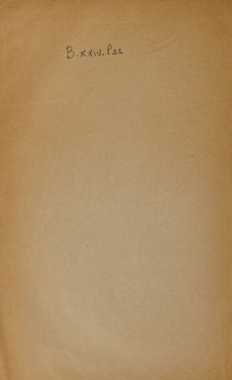 KXwi* •••.-«T' •• .