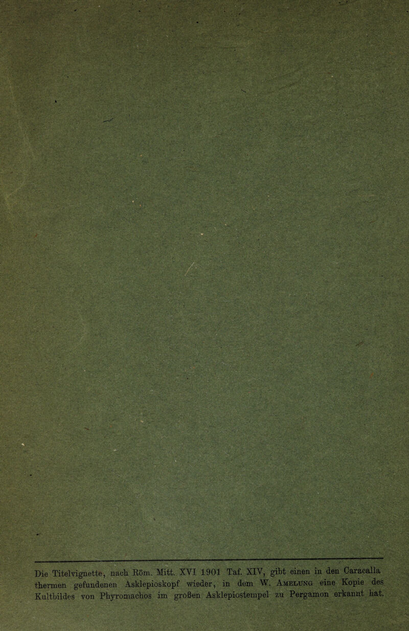 Die Titelngnette, naeii^ Mitt. A Vi lyui Tat. Ai v , giot emen tiiermen . gefiindenen Asklepioskopf wieder, in dem W. AMnnima ^eine Kopie des