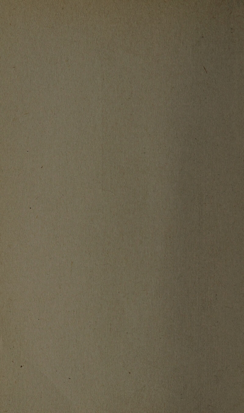 \ ' ,fr ;,F* ■Ml,. *