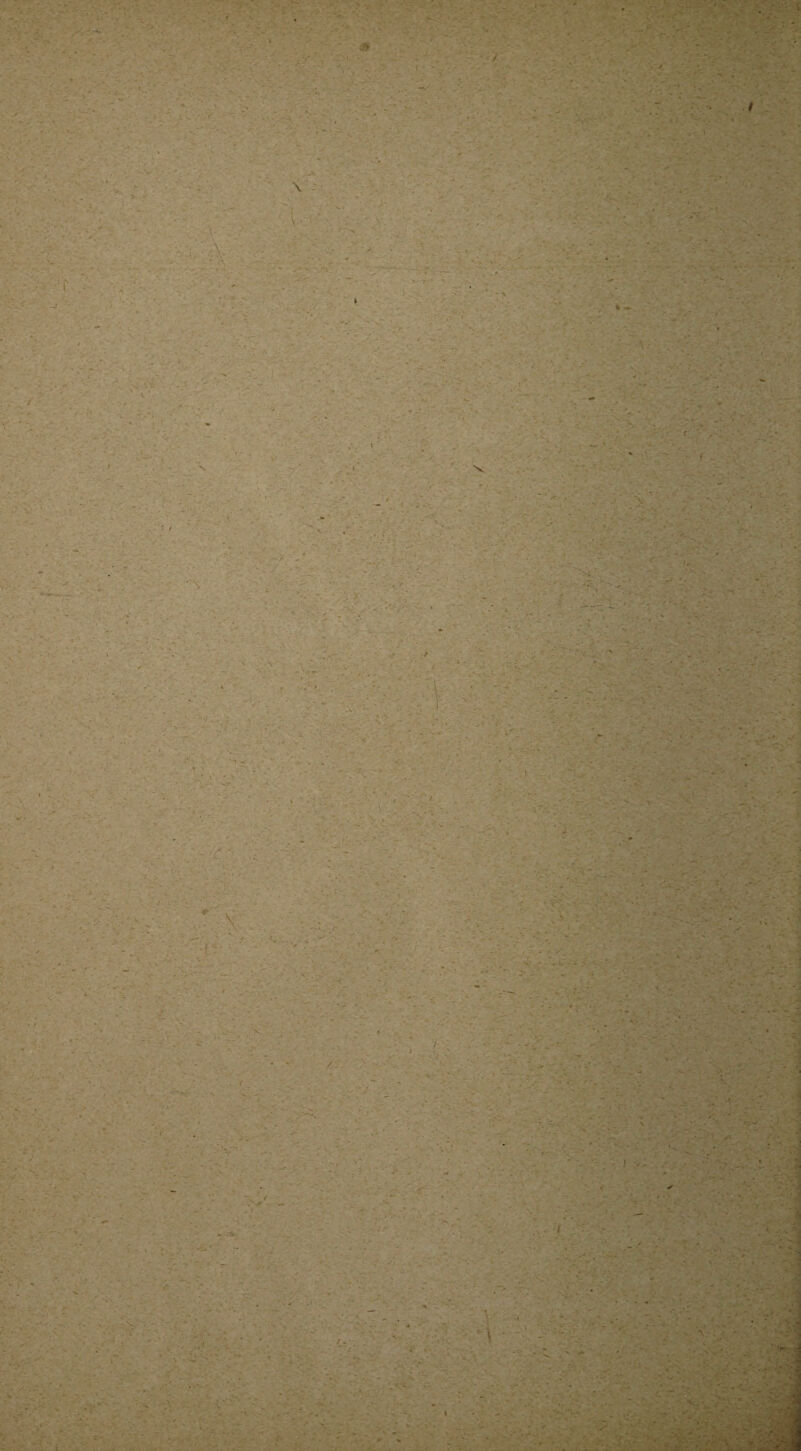 \ \ ( < . ' ' • f' • ; -'i , - . N • ' -J ‘ •/,- : ; ' ■ -