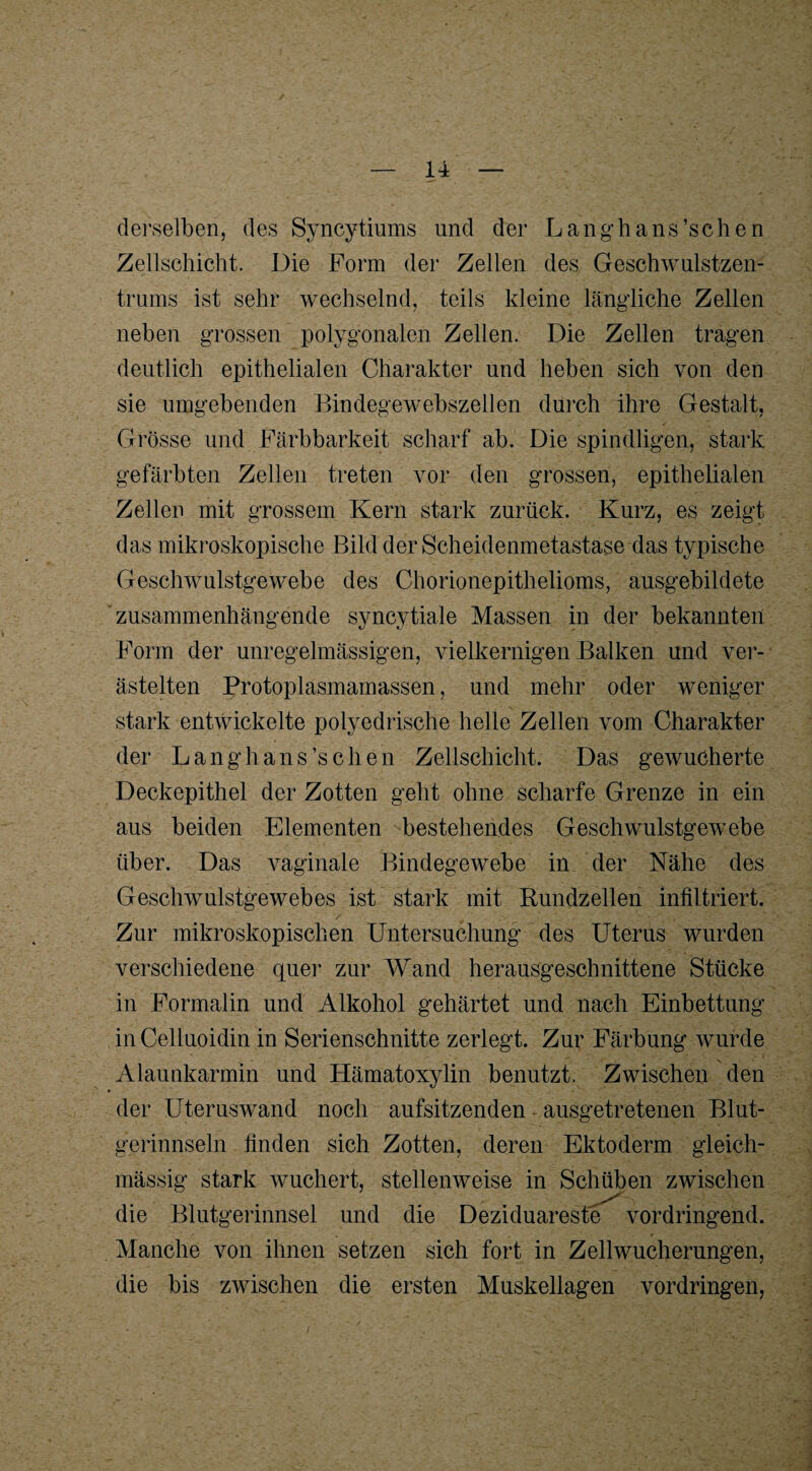 derselben, des Syncytiums und der Lang'hans’schen Zellschicht. Die Form der Zellen des Geschwulstzen¬ trums ist sehr wechselnd, teils kleine längliche Zellen neben grossen polygonalen Zellen. Die Zellen tragen deutlich epithelialen Charakter und heben sich von den sie umgebenden Bindegewebszellen durch ihre Gestalt, Grosse und Färbbarkeit scharf ab. Die spindligen, stark gefärbten Zellen treten vor den grossen, epithelialen Zellen mit grossem Kern stark zurück. Kurz, es zeigt das mikroskopische Bild der Scheidenmetastase das typische Geschwulstgewebe des Chorionepithelioms, ausgebildete zusammenhängende syncytiale Massen in der bekannten Form der unregelmässigen, vielkernigen Balken und ver¬ ästelten Protoplasmamassen, und mehr oder weniger stark entwickelte polyedrische helle Zellen vom Charakter der Langh ans’s dien Zellschicht. Das gewucherte Deckepithel der Zotten geht ohne scharfe Grenze in ein aus beiden Elementen bestehendes Geschwulstgewebe über. Das vaginale Bindegewebe in der Nähe des Geschwulstgewebes ist stark mit Rundzellen infiltriert. Zur mikroskopischen Untersuchung des Uterus wurden verschiedene quer zur Wand herausgeschnittene Stücke in Formalin und Alkohol gehärtet und nach Einbettung in Celluoidin in Serienschnitte zerlegt. Zur Färbung wurde Alaunkarmin und Hämatoxylin benutzt. Zwischen den der Uteruswand noch aufsitzenden ausgetretenen Blut¬ gerinnseln finden sich Zotten, deren Ektoderm gleich- mässig stark wuchert, stellenweise in Schüben zwischen die Blutgerinnsel und die Deziduareste vordringend. Manche von ihnen setzen sich fort in Zellwucherungen, die bis zwischen die ersten Muskellagen Vordringen,