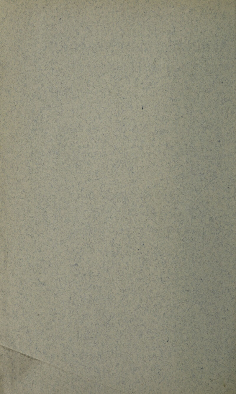 * > ; t\  >• \ v T : ■ \ ■fV' - v v - > \. ’>< < - H- •£. . vjr ( H A ■ u *■ > «• ■' - ■ y. \ ;Kr7 , 4 /i^-r ‘V x / - '/ •! V* v, -VI . ... , ■ ■ V',’ > r■*■