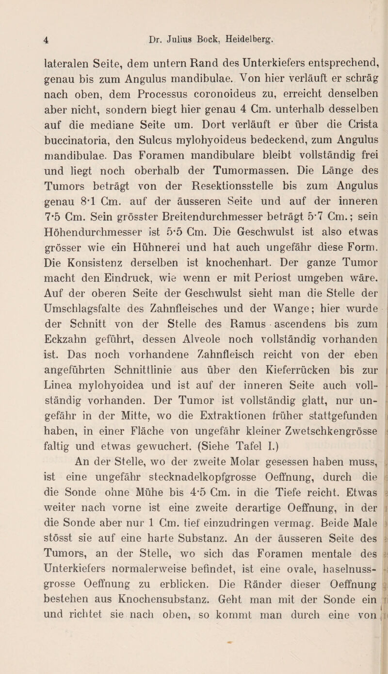 lateralen Seite, dem untern Rand des Unterkiefers entsprechend, genau bis zum Angulus mandibulae. Von hier verläuft er schräg nach oben, dem Processus coronoideus zu, erreicht denselben aber nicht, sondern biegt hier genau 4 Cm. unterhalb desselben auf die mediane Seite um. Dort verläuft er über die Crista buccinatoria, den Sulcus mylohyoideus bedeckend, zum Angulus mandibulae. Das Foramen mandibulare bleibt vollständig frei und liegt noch oberhalb der Tumormassen. Die Länge des Tumors beträgt von der Resektionsstelle bis zum Angulus genau 8*1 Cm. auf der äusseren Seite und auf der inneren 7*5 Cm. Sein grösster Breitendurchmesser beträgt 5’7 Cm.; sein Höhendurchmesser ist 5*5 Cm. Die Geschwulst ist also etwas grösser wie ein Hühnerei und hat auch ungefähr diese Form. Die Konsistenz derselben ist knochenhart. Der ganze Tumor macht den Eindruck, wie wenn er mit Periost umgeben wäre. Auf der oberen Seite der Geschwulst sieht man die Stelle der Umschlagsfalte des Zahnfleisches und der Wange; hier wurde der Schnitt von der Stelle des Ramus ascendens bis zum Eckzahn geführt, dessen Alveole noch vollständig vorhanden ist. Das noch vorhandene Zahnfleisch reicht von der eben angeführten Schnittlinie aus über den Kieferrücken bis zur Linea mylohyoidea und ist auf der inneren Seite auch voll» ständig vorhanden. Der Tumor ist vollständig glatt, nur un¬ gefähr in der Mitte, wo die Extraktionen früher stattgefunden haben, in einer Fläche von ungefähr kleiner Zwetschkengrösse faltig und etwas gewuchert. (Siehe Tafel I.) An der Stelle, wo der zweite Molar gesessen haben muss, ist eine ungefähr stecknadelkopfgrosse Oeffnung, durch die die Sonde ohne Mühe bis 4*5 Cm. in die Tiefe reicht. Etwas weiter nach vorne ist eine zweite derartige Oeffnung, in der die Sonde aber nur 1 Cm. tief einzudringen vermag. Beide Male stösst sie auf eine harte Substanz. An der äusseren Seite des Tumors, an der Stelle, wo sich das Foramen mentale des Unterkiefers normalerweise befindet, ist eine ovale, haselnuss¬ grosse Oeffnung zu erblicken. Die Ränder dieser Oeffnung bestehen aus Knochensubstanz. Geht man mit der Sonde ein und richtet sie nach oben, so kommt man durch eine von