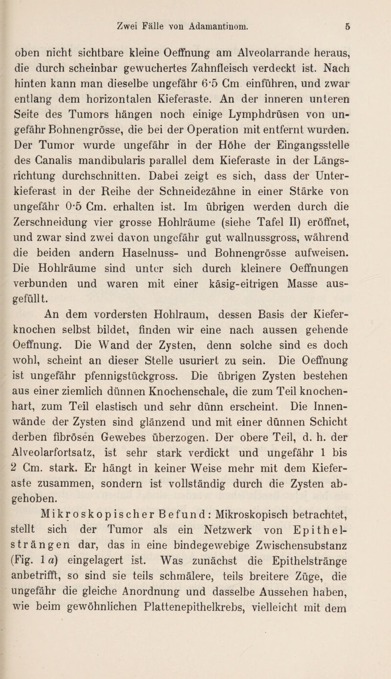 oben nicht sichtbare kleine Oeffnung am Alveolarrande heraus, die durch scheinbar gewuchertes Zahnfleisch verdeckt ist. Nach hinten kann man dieselbe ungefähr 6*5 Cm einführen, und zwar entlang dem horizontalen Kieferaste. An der inneren unteren Seite des Tumors hängen noch einige Lymphdrüsen von un¬ gefähr Bohnengrösse, die bei der Operation mit entfernt wurden. Der Tumor wurde ungefähr in der Höhe der Eingangsstelle des Canalis mandibularis parallel dem Kieferaste in der Längs¬ richtung durchschnitten. Dabei zeigt es sich, dass der Unter¬ kieferast in der Reihe der Schneidezähne in einer Stärke von ungefähr 0*5 Cm. erhalten ist. Im übrigen werden durch die Zerschneidung vier grosse Hohlräume (siehe Tafel II) eröffnet, und zwar sind zwei davon ungefähr gut wallnussgross, während die beiden andern Haselnuss- und Bohnengrösse aufweisen. Die Hohlräume sind unter sich durch kleinere Oeffnungen verbunden und waren mit einer käsig-eitrigen Masse aus¬ gefüllt. An dem vordersten Hohlraum, dessen Basis der Kiefer¬ knochen selbst bildet, finden wir eine nach aussen gehende Oeffnung. Die Wand der Zysten, denn solche sind es doch wohl, scheint an dieser Stelle usuriert zu sein. Die Oeffnung ist ungefähr pfennigstückgross. Die übrigen Zysten bestehen aus einer ziemlich dünnen Knochenschale, die zum Teil knochen¬ hart, zum Teil elastisch und sehr dünn erscheint. Die Innen¬ wände der Zysten sind glänzend und mit einer dünnen Schicht derben fibrösen Gewebes überzogen. Der obere Teil, d. h. der Alveolarfortsatz, ist sehr stark verdickt und ungefähr 1 bis 2 Cm. stark. Er hängt in keiner Weise mehr mit dem Kief'er- aste zusammen, sondern ist vollständig durch die Zysten ab¬ gehoben. Mikroskopischer Befund: Mikroskopisch betrachtet, stellt sich der Tumor als ein Netzwerk von Epithel¬ strängen dar, das in eine bindegewebige Zwischensubstanz (Fig. 1 a) eingelagert ist. Was zunächst die Epithelstränge anbetrifft, so sind sie teils schmälere, teils breitere Züge, die ungefähr die gleiche Anordnung und dasselbe Aussehen haben, wie beim gewöhnlichen Plattenepithelkrebs, vielleicht mit dem