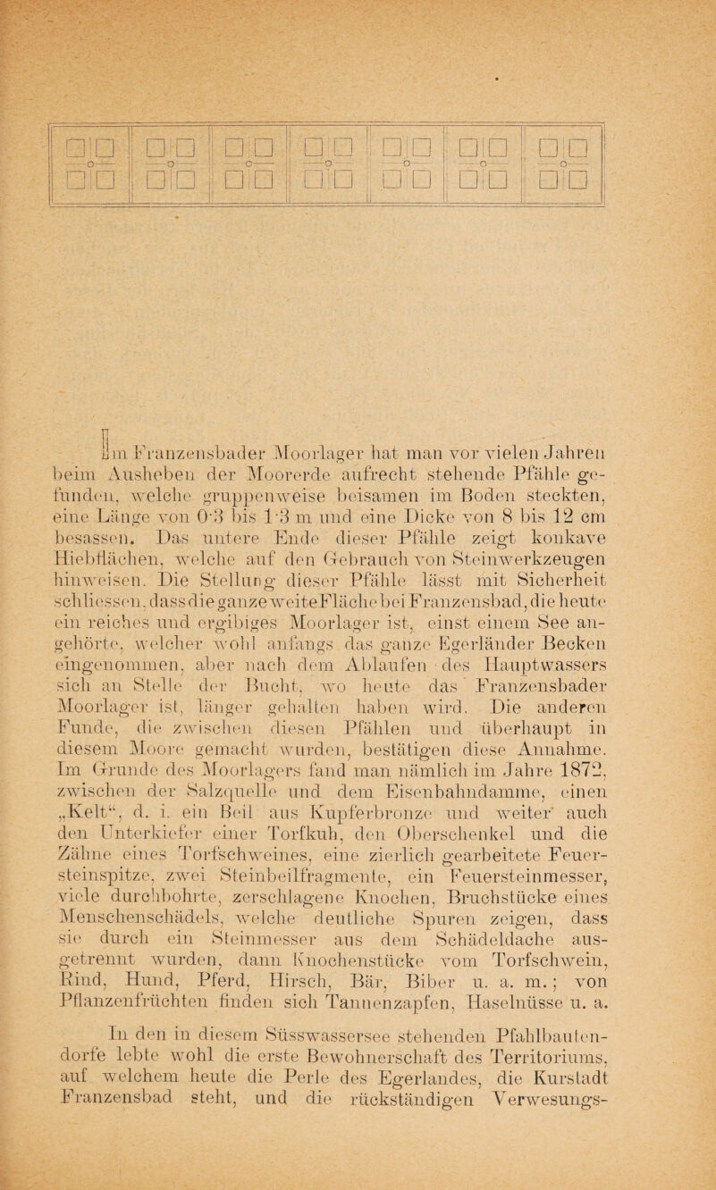 DP dp; DP DP □P DP DP □ID 1 □TD DP DP 1 DP 1 DP DP | n Um Franzensbader Moorlager hat man vor vielen Jahren beim Ausheben der Moorerde aufrecht stehende Pfähle ge¬ funden. welche gruppenweise beisamen im Boden steckten, eine Länge von 03 bis 1*3 m und eine Dicke von 8 bis 12 cm besassen. Das untere Ende dieser Pfähle zeigt konkave Hiebfläehen, welche auf den Gebrauch von Steinwerkzeugen Hinweisen. Die Stellung dieser Pfähle lässt mit Sicherheit schliessen. dass die ganze weiteFläcliebei Franzensbad, die heute ein reiches und ergibiges Moorlager ist, einst einem See an¬ gehörte, welcher wohl anfangs das ganze Egerländer Becken eingenommen, aber nach dem Ablaufen des Hauptwassers sich an Stelle der Bucht, vro heute das Franzensbader Moorlager ist, länger gehalten haben wird. Die anderen Funde, die zwischen diesen Pfählen und überhaupt in diesem Moore gemacht wurden, bestätigen diese Annahme. Im Grunde des Moorlagers fand man nämlich im Jahre 1872, zwischen der Salzquelle und dem Eisenbahndamme, einen „Kelt“, d. i. ein Beil aus Kupferbronze und weiter auch den Unterkiefer einer Torfkuh, den Oberschenkel und die Zähne eines Torfschweines, eine zierlich gearbeitete Feuer¬ steinspitze, zwei Steinbeilfragmente, ein Feuersteinmesser, viele durchbohrte, zerschlagene Knochen, Bruchstücke eines Menschenschädels, welche deutliche Spuren zeigen, dass sie durch ein Steinmesser aus dem Schädeldache aus- getrennt wurden, dann Knochenstücke vom Torfschwein, Bind, Hund, Pferd, Hirsch, Bär, Biber u. a. m. ; von Pflanzenfrüchten finden sich Tannenzapfen, Haselnüsse u. a. In den in diesem Süsswassersee stehenden PfahlbauIen¬ dorte lebte wohl die erste Bewohnerschaft des Territoriums, auf welchem heute die Perle des Egerlandes, die Kurstadt Franzensbad steht, und die rückständigen Verwesungs-