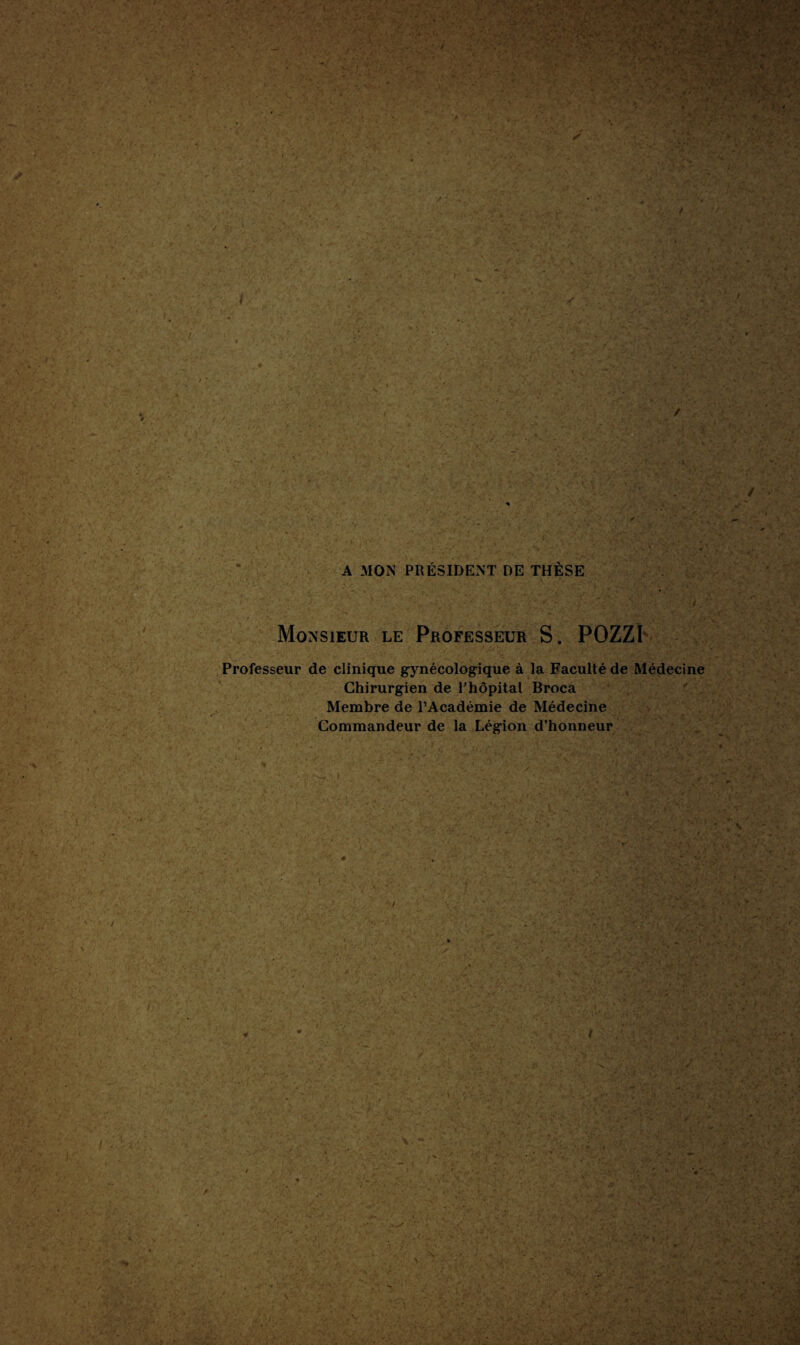 I A MON PRÉSIDENT DE THÈSE i Monsieur le Professeur S. POZZÏ Professeur de clinique gynécologique à la Faculté de Médecine Chirurgien de l'hôpital Broca Membre de l’Académie de Médecine Commandeur de la Légion d’honneur