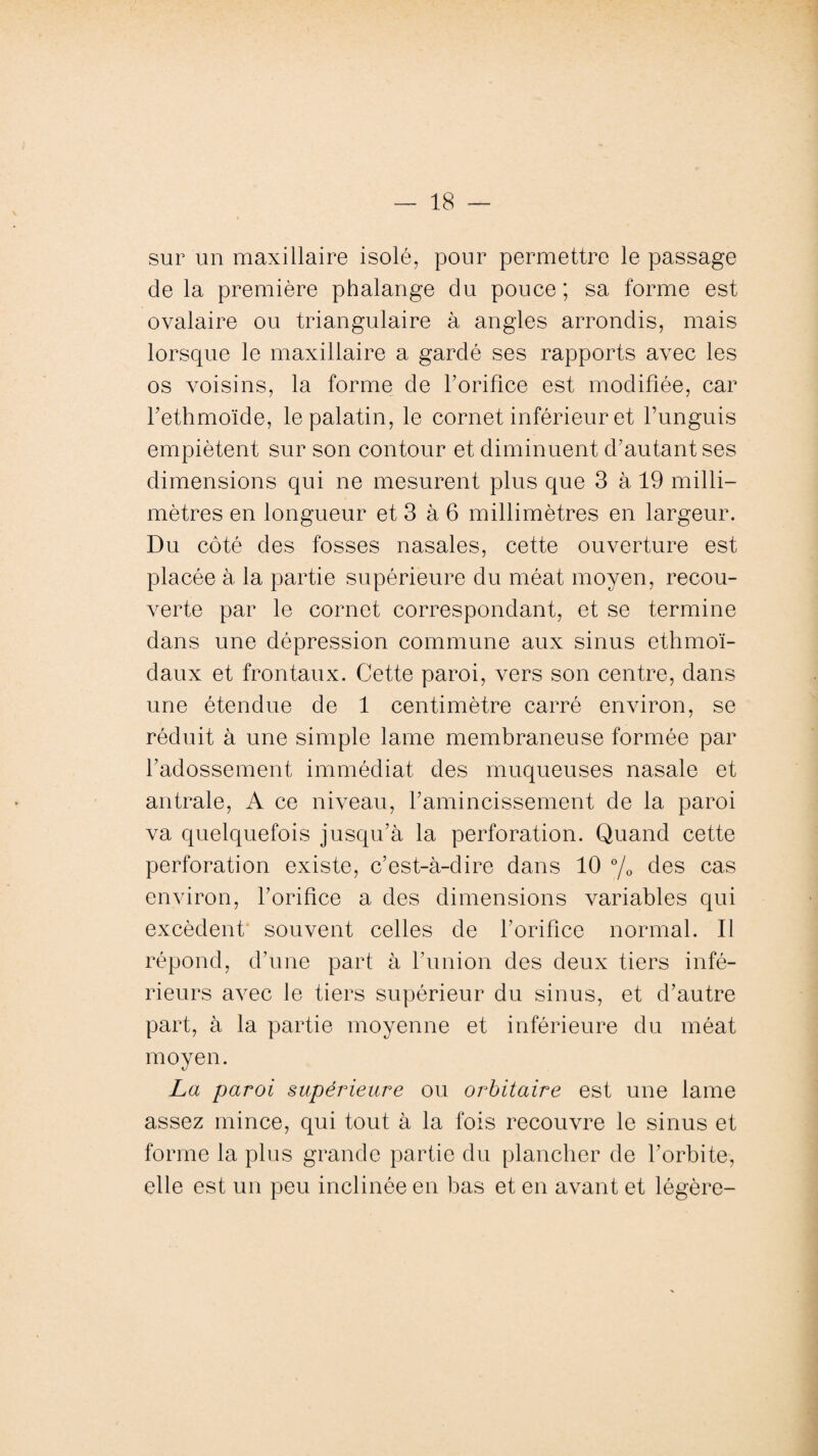 sur un maxillaire isolé, pour permettre le passage delà première phalange du pouce; sa forme est ovalaire ou triangulaire à angles arrondis, mais lorsque le maxillaire a gardé ses rapports avec les os voisins, la forme de l’orifice est modifiée, car l’ethmoïde, le palatin, le cornet inférieur et Funguis empiètent sur son contour et diminuent d’autant ses dimensions qui ne mesurent plus que 3 à 19 milli¬ mètres en longueur et 3 à 6 millimètres en largeur. Du côté des fosses nasales, cette ouverture est placée à la partie supérieure du méat moyen, recou¬ verte par le cornet correspondant, et se termine dans une dépression commune aux sinus ethmoï- daux et frontaux. Cette paroi, vers son centre, dans une étendue de 1 centimètre carré environ, se réduit à une simple lame membraneuse formée par F adossement immédiat des muqueuses nasale et an traie, A ce niveau, Famincissement de la paroi va quelquefois jusqu’à la perforation. Quand cette perforation existe, c’est-à-dire dans 10 °/0 des cas environ, l’orifice a des dimensions variables qui excèdent souvent celles de l’orifice normal. Il répond, d’une part à l’union des deux tiers infé¬ rieurs avec le tiers supérieur du sinus, et d’autre part, à la partie moyenne et inférieure du méat moyen. La paroi supérieure ou orbitaire est une lame assez mince, qui tout à la fois recouvre le sinus et forme la plus grande partie du plancher de l’orbite, elle est un peu inclinée en bas et en avant et légère-