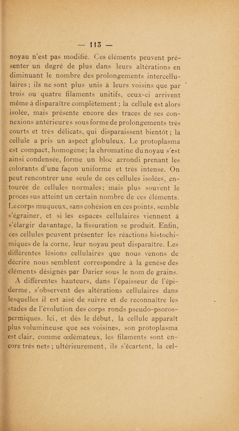 1 1 0 noyau n’est pas modifié. Ces éléments peuvent pré¬ senter un degré de plus dans leurs altérations en diminuant le nombre des prolongements intercellu¬ laires ; ils ne sont plus unis à leurs voisins que par trois ou quatre filaments unitifs, ceux-ci arrivent même à disparaître complètement ; la cellule est alors isolée, mais présente encore des traces de ses con¬ nexions antérieures sous forme de prolongements très courts et très délicats, qui disparaissent bientôt ; la cellule a pris un aspect globuleux. Le protoplasma est compact, homogène; la chromatine du noyau s’est ainsi condensée, forme un bloc arrondi prenant les colorants d’une façon uniforme et très intense. On peut rencontrer une seule de ces cellules isolées, en¬ tourée de cellules normales; mais plus souvent le processus atteint un certain nombre de ces éléments. Le corps muqueux, sans cohésion en ces points, semble s’égrainer, et si les espaces cellulaires viennent à s’élargir davantage, la fissuration se produit. Enfin, ces cellules peuvent présenter les réactions histochi- miques de la corne, leur noyau peut disparaître. Les différentes lésions cellulaires que nous venons de décrire nous semblent correspondre à la genèse des éléments désignés par Darier sous le nom de grains. A différentes hauteurs, dans l’épaisseur de l’épi¬ derme, s’observent des altérations cellulaires dans lesquelles il est aisé de suivre et de reconnaître les stades de l’évolution des corps ronds pseudo-psoros- permiques. Ici, et dès le début, la cellule apparaît plus volumineuse que ses voisines, son protoplasma est clair, comme œdémateux, les filaments sont en¬ core très nets ; ultérieurement, ils s’écartent, la cel-