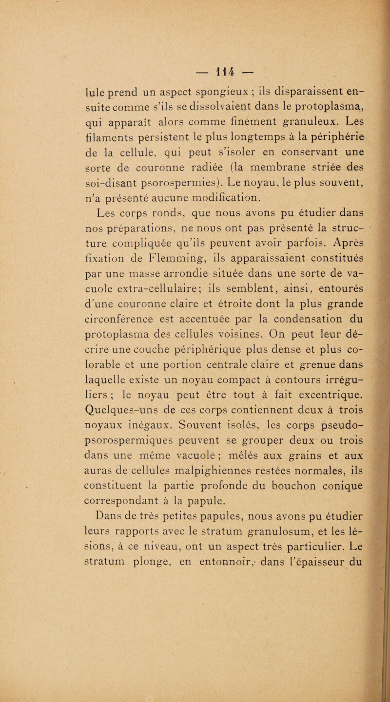 Iule prend un aspect spongieux ; ils disparaissent en¬ suite comme s’ils se dissolvaient dans le protoplasma, qui apparaît alors comme finement granuleux. Les filaments persistent le plus longtemps à la périphérie de la cellule, qui peut s’isoler en conservant une sorte de couronne radiée (la membrane striée des soi-disant psorospermies). Le noyau, le plus souvent, n’a présenté aucune modification. Les corps ronds, que nous avons pu étudier dans nos préparations, ne nous ont pas présenté la struc¬ ture compliquée qu’ils peuvent avoir parfois. Après fixation de Flemming, ils apparaissaient constitués par une masse arrondie située dans une sorte de va¬ cuole extra-cellulaire; ils semblent, ainsi, entourés d’une couronne claire et étroite dont la plus grande circonférence est accentuée par la condensation du protoplasma des cellules voisines. On peut leur dé¬ crire une couche périphérique plus dense et plus Co¬ lombie et une portion centrale claire et grenue dans laquelle existe un noyau compact à contours irrégu¬ liers ; le noyau peut être tout à fait excentrique. Quelques-uns de ces corps contiennent deux à trois noyaux inégaux. Souvent isolés, les corps pseudo- psorospermiques peuvent se grouper deux ou trois dans une même vacuole ; mêlés aux grains et aux auras de cellules malpighiennes restées normales, ils constituent la partie profonde du bouchon conique correspondant à la papule. Dans de très petites papules, nous avons pu étudier leurs rapports avec le stratum granulosum, et les lé¬ sions, à ce niveau, ont un aspect très particulier. Le stratum plonge, en entonnoir, dans l’épaisseur du