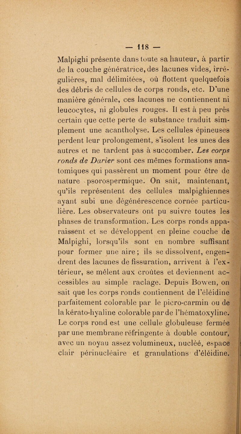 Malpighi présente dans toute sa hauteur, à partir de la couche génératrice, des lacunes vides, irré¬ gulières, mal délimitées, où flottent quelquefois des débris de cellules de corps ronds, etc. D’une manière générale, ces lacunes ne contiennent ni leucocytes, ni globules rouges. Il est à peu près certain que cette perte de substance traduit sim¬ plement une acantholyse. Les cellules épineuses perdent leur prolongement, s’isolent les unes des autres et ne tardent pas à succomber. Les corps ronds de Darier sont ces mêmes formations ana¬ tomiques qui passèrent un moment pour être de nature ^ psorospermique. On sait, maintenant, qu’ils représentent des cellules malpighiennes ayant subi une dégénérescence cornée particu¬ lière. Les observateurs ont pu suivre toutes les phases de transformation. Les corps ronds appa¬ raissent et se développent en pleine couche de Malpighi, lorsqu’ils sont en nombre suffisant pour former une aire; ils se dissolvent, engen¬ drent des lacunes de fissuration, arrivent à l’ex¬ térieur, se mêlent aux croûtes et deviennent ac¬ cessibles au simple raclage. Depuis Bowen, on sait que les corps ronds contiennent de l’éléidine parfaitement colorable par le picro-carmin ou de lakérato-hyaline colorable par de l’hématoxyline. Le corps rond est une cellule globuleuse fermée par une membrane réfringente à double contour, avec un noyau assez volumineux, nucléé, espace clair périnucléaire et granulations d’éléidine.