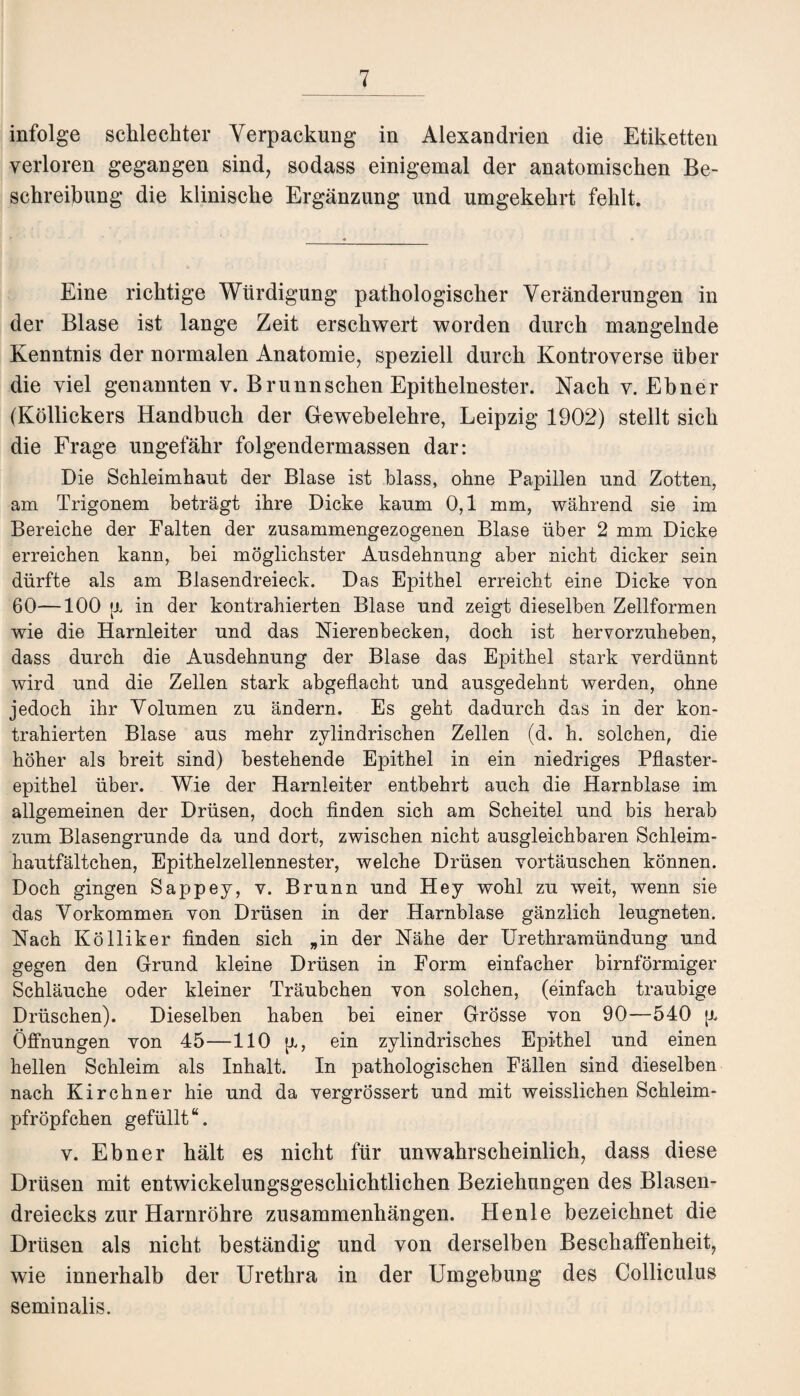 infolge schlechter Verpackung in Alexandrien die Etiketten verloren gegangen sind, sodass einigemal der anatomischen Be¬ schreibung die klinische Ergänzung und umgekehrt fehlt. Eine richtige Würdigung pathologischer Veränderungen in der Blase ist lange Zeit erschwert worden durch mangelnde Kenntnis der normalen Anatomie, speziell durch Kontroverse über die viel genannten v. Brunn sehen Epithelnester. Nach v. Ebner (Köllickers Handbuch der Gewebelehre, Leipzig 1902) stellt sich die Frage ungefähr folgendermassen dar: Die Schleimhaut der Blase ist blass, ohne Papillen und Zotten, am Trigonem beträgt ihre Dicke kaum 0,1 mm, während sie im Bereiche der Falten der zusammengezogenen Blase über 2 mm Dicke erreichen kann, bei möglichster Ausdehnung aber nicht dicker sein dürfte als am Blasendreieck. Das Epithel erreicht eine Dicke von 60—100 pu in der kontrahierten Blase und zeigt dieselben Zellformen wie die Harnleiter und das Nierenbecken, doch ist hervorzuheben, dass durch die Ausdehnung der Blase das Epithel stark verdünnt wird und die Zellen stark abgeflacht und ausgedehnt werden, ohne jedoch ihr Volumen zu ändern. Es geht dadurch das in der kon¬ trahierten Blase aus mehr zylindrischen Zellen (d. h. solchen, die höher als breit sind) bestehende Epithel in ein niedriges Pflaster¬ epithel über. Wie der Harnleiter entbehrt auch die Harnblase im allgemeinen der Drüsen, doch finden sich am Scheitel und bis herab zum Blasengrunde da und dort, zwischen nicht ausgleichbaren Schleim- hautfältchen, Epithelzellennester, welche Drüsen Vortäuschen können. Doch gingen Sappey, v. Brunn und Hey wohl zu weit, wenn sie das Vorkommen von Drüsen in der Harnblase gänzlich leugneten. Nach Kölliker finden sich „in der Nähe der Urethramündung und gegen den Grund kleine Drüsen in Form einfacher bimförmiger Schläuche oder kleiner Träubchen von solchen, (einfach traubige Dräschen). Dieselben haben bei einer Grösse von 90—540 jx Öffnungen von 45—110 |x, ein zylindrisches Epithel und einen hellen Schleim als Inhalt. In pathologischen Fällen sind dieselben nach Kirchner hie und da vergrössert und mit weisslichen Schleim- pfröpfchen gefüllt“. v. Ebner hält es nicht für unwahrscheinlich, dass diese Drüsen mit entwickelungsgeschichtlichen Beziehungen des Blasen¬ dreiecks zur Harnröhre Zusammenhängen. Henle bezeichnet die Drüsen als nicht beständig und von derselben Beschaffenheit, wie innerhalb der Urethra in der Umgebung des Colliculus seminalis.
