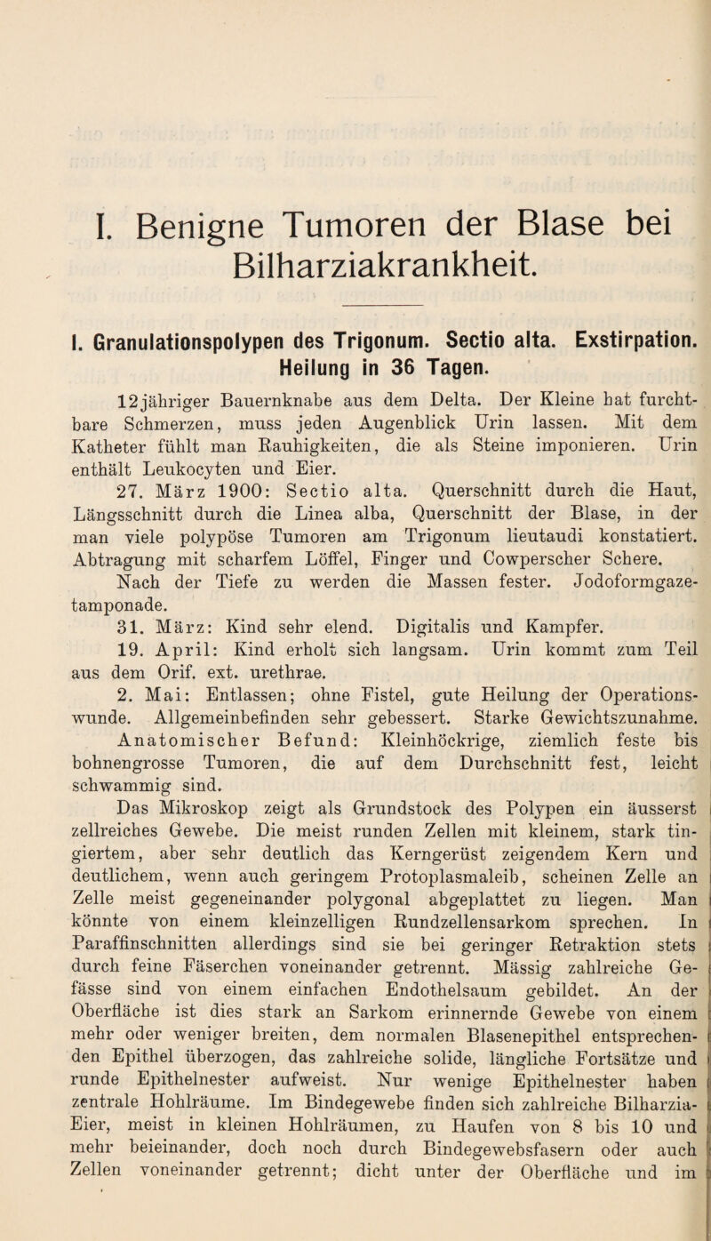 Bilharziakrankheit. I. Granulationspolypen des Trigonum. Sectio alta. Exstirpation. Heilung in 36 Tagen. 12jähriger Bauernknabe aus dem Delta. Der Kleine hat furcht¬ bare Schmerzen, muss jeden Augenblick Urin lassen. Mit dem Katheter fühlt man Rauhigkeiten, die als Steine imponieren. Urin enthält Leukocyten und Eier. 27. März 1900: Sectio alta. Querschnitt durch die Haut, Längsschnitt durch die Linea alba, Querschnitt der Blase, in der man viele polypöse Tumoren am Trigonum lieutaudi konstatiert. Abtragung mit scharfem Löffel, Finger und Cowperscher Schere. Nach der Tiefe zu werden die Massen fester. Jodoformgaze¬ tamponade. 31. März: Kind sehr elend. Digitalis und Kampfer. 19. April: Kind erholt sich langsam. Urin kommt zum Teil aus dem Orif. ext. urethrae. 2. Mai: Entlassen; ohne Fistel, gute Heilung der Operations¬ wunde. Allgemeinbefinden sehr gebessert. Starke Gewichtszunahme. Anatomischer Befund: Kleinhöckrige, ziemlich feste bis bohnengrosse Tumoren, die auf dem Durchschnitt fest, leicht schwammig sind. Das Mikroskop zeigt als Grundstock des Polypen ein äusserst j zellreiches Gewebe. Die meist runden Zellen mit kleinem, stark tin- giertem, aber sehr deutlich das Kerngerüst zeigendem Kern und deutlichem, wenn auch geringem Protoplasmaleib, scheinen Zelle an i Zelle meist gegeneinander polygonal abgeplattet zu liegen. Man i könnte von einem kleinzelligen Rundzellensarkom sprechen. In Paraffinschnitten allerdings sind sie bei geringer Retraktion stets durch feine Fäserchen voneinander getrennt. Mässig zahlreiche Ge- fässe sind von einem einfachen Endothelsaum gebildet. An der Oberfläche ist dies stark an Sarkom erinnernde Gewebe von einem mehr oder weniger breiten, dem normalen Blasenepithel entsprechen¬ den Epithel überzogen, das zahlreiche solide, längliche Fortsätze und j; runde Epithelnester aufweist. Nur wenige Epithelnester haben ; zentrale Hohlräume. Im Bindegewebe finden sich zahlreiche Bilharzia- ^ Eier, meist in kleinen Hohlräumen, zu Haufen von 8 bis 10 und mehr beieinander, doch noch durch Bindegewebsfasern oder auch Zellen voneinander getrennt; dicht unter der Oberfläche und im