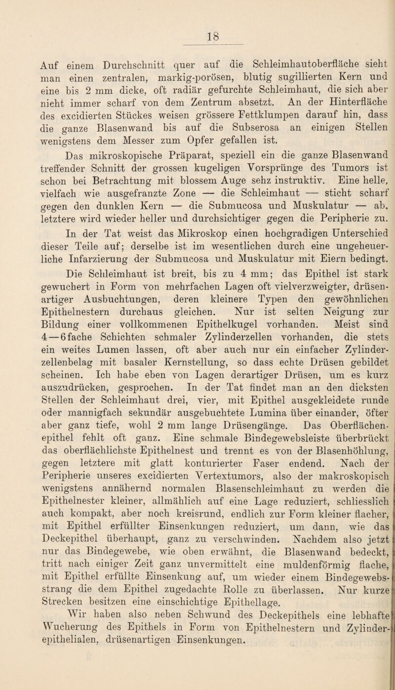 Auf einem Durchschnitt quer auf die Schleimhautoberfläche sieht man einen zentralen, markig-porösen, blutig sugillierten Kern und eine bis 2 mm dicke, oft radiär gefurchte Schleimhaut, die sich aber nicht immer scharf von dem Zentrum absetzt. An der Hinterfläche des excidierten Stückes weisen grössere Fettklumpen darauf hin, dass die ganze Blasenwand bis auf die Subserosa an einigen Stellen wenigstens dem Messer zum Opfer gefallen ist. Das mikroskopische Präparat, speziell ein die ganze Blasenwand treffender Schnitt der grossen kugeligen Vorsprünge des Tumors ist schon bei Betrachtung mit blossem Auge sehz instruktiv. Eine helle, vielfach wie ausgefranzte Zone — die Schleimhaut — sticht scharf gegen den dunklen Kern — die Submucosa und Muskulatur — ab, letztere wird wieder heller und durchsichtiger gegen die Peripherie zu. In der Tat weist das Mikroskop einen hochgradigen Unterschied dieser Teile auf; derselbe ist im wesentlichen durch eine ungeheuer¬ liche Infarzierung der Submucosa und Muskulatur mit Eiern bedingt. Die Schleimhaut ist breit, bis zu 4 mm; das Epithel ist stark gewuchert in Form von mehrfachen Lagen oft vielverzweigter, drüsen¬ artiger Ausbuchtungen, deren kleinere Typen den gewöhnlichen Epithelnestern durchaus gleichen. Nur ist selten Neigung zur Bildung einer vollkommenen Epithelkugel vorhanden. Meist sind 4 — 6 fache Schichten schmaler Zylinderzellen vorhanden, die stets ein weites Lumen lassen, oft aber auch nur ein einfacher Zylinder¬ zellenbelag mit basaler Kernstellung, so dass echte Drüsen gebildet scheinen. Ich habe eben von Lagen derartiger Drüsen, um es kurz auszudrücken, gesprochen. In der Tat findet man an den dicksten Stellen der Schleimhaut drei, vier, mit Epithel ausgekleidete runde oder mannigfach sekundär ausgebuchtete Lumina über einander, öfter aber ganz tiefe, wohl 2 mm lange Drüsengänge. Das Oberflächen¬ epithel fehlt oft ganz. Eine schmale Bindegewebsleiste überbrückt das oberflächlichste Epithelnest und trennt es von der Blasenhöhlung, gegen letztere mit glatt konturierter Faser endend. Nach der Peripherie unseres excidierten Vertextumors, also der makroskopisch wenigstens annähernd normalen Blasenschleimhaut zu werden die Epithelnester kleiner, allmählich auf eine Lage reduziert, schliesslich auch kompakt, aber noch kreisrund, endlich zur Form kleiner flacher, mit Epithel erfüllter Einsenkungen reduziert, um dann, wie das Deckepithel überhaupt, ganz zu verschwinden. Nachdem also jetzt nur das Bindegewebe, wie oben erwähnt, die Blasenwand bedeckt, tritt nach einiger Zeit ganz unvermittelt eine muldenförmig flache, mit Epithel erfüllte Einsenkung auf, um wieder einem Bindegewebs- strang die dem Epithel zugedachte Rolle zu überlassen. Nur kurze Strecken besitzen eine einschichtige Epithellage. Wir haben also neben Schwund des Deckepithels eine lebhafte Wucherung des Epithels in Form von Epithelnestern und Zylinder- epithelialen, drüsenartigen Einsenkungen.