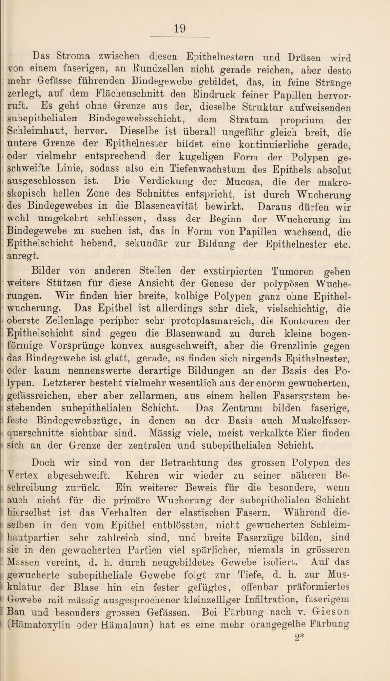 Das Stroma zwischen diesen Epithelnestern und Drüsen wird von einem faserigen, an Rundzellen nicht gerade reichen, aber desto mehr Gefässe führenden Bindegewebe gebildet, das, in feine Stränge zerlegt, auf dem Flächenschnitt den Eindruck feiner Papillen hervor¬ ruft. Es geht ohne Grenze aus der, dieselbe Struktur aufweisenden subepithelialen Bindegewebsschicht, dem Stratum proprium der Schleimhaut, hervor. Dieselbe ist überall ungefähr gleich breit, die untere Grenze der Epithelnester bildet eine kontinuierliche gerade, oder vielmehr entsprechend der kugeligen Form der Polypen ge¬ schweifte Linie, sodass also ein Tiefenwachstum des Epithels absolut ausgeschlossen ist. Die Verdickung der Mucosa, die der makro¬ skopisch hellen Zone des Schnittes entspricht, ist durch Wucherung des Bindegewebes in die Blasencavität bewirkt. Daraus dürfen wir wohl umgekehrt schliessen, dass der Beginn der Wucherung im Bindegewebe zu suchen ist, das in Form von Papillen wachsend, die Epithelschicht hebend, sekundär zur Bildung der Epithelnester etc. anregt. Bilder von anderen Stellen der exstirpierten Tumoren geben weitere Stützen für diese Ansicht der Genese der polypösen Wuche¬ rungen. Wir linden hier breite, kolbige Polypen ganz ohne Epithel¬ wucherung. Das Epithel ist allerdings sehr dick, vielschichtig, die oberste Zellenlage peripher sehr protoplasmareich, die Kontouren der Epithelschicht sind gegen die Blasenwand zu durch kleine bogen¬ förmige Vorsprünge konvex ausgeschweift, aber die Grenzlinie gegen das Bindegewebe ist glatt, gerade, es linden sich nirgends Epithelnester, oder kaum nennenswerte derartige Bildungen an der Basis des Po¬ lypen. Letzterer besteht vielmehr wesentlich aus der enorm gewucherten, gefässreichen, eher aber zellarmen, aus einem hellen Fasersystem be¬ stehenden subepithelialen Schicht. Das Zentrum bilden faserige, feste Bindegewebszüge, in denen an der Basis auch Muskelfaser¬ querschnitte sichtbar sind. Mässig viele, meist verkalkte Eier linden sich an der Grenze der zentralen und subepithelialen Schicht. Doch wir sind von der Betrachtung des grossen Polypen des Vertex abgeschweift. Kehren wir wieder zu seiner näheren Be¬ schreibung zurück. Ein weiterer Beweis für die besondere, wenn auch nicht für die primäre Wucherung der subepithelialen Schicht hierselbst ist das Verhalten der elastischen Fasern. Während die¬ selben in den vom Epithel entblössten, nicht gewucherten Schleim¬ hautpartien sehr zahlreich sind, und breite Faserzüge bilden, sind sie in den gewucherten Partien viel spärlicher, niemals in grösseren Massen vereint, d. h. durch neugebildetes Gewebe isoliert. Auf das gewucherte subepitheliale Gewebe folgt zur Tiefe, d. h. zur Mus¬ kulatur der Blase hin ein fester gefügtes, olfenbar präformiertes Gewebe mit mässig ausgesprochener kleinzelliger Infiltration, faserigem Bau und besonders grossen Gefässen. Bei Färbung nach v. Gieson (Hämatoxylin oder Hämalaun) hat es eine mehr orangegelbe Färbung 2*