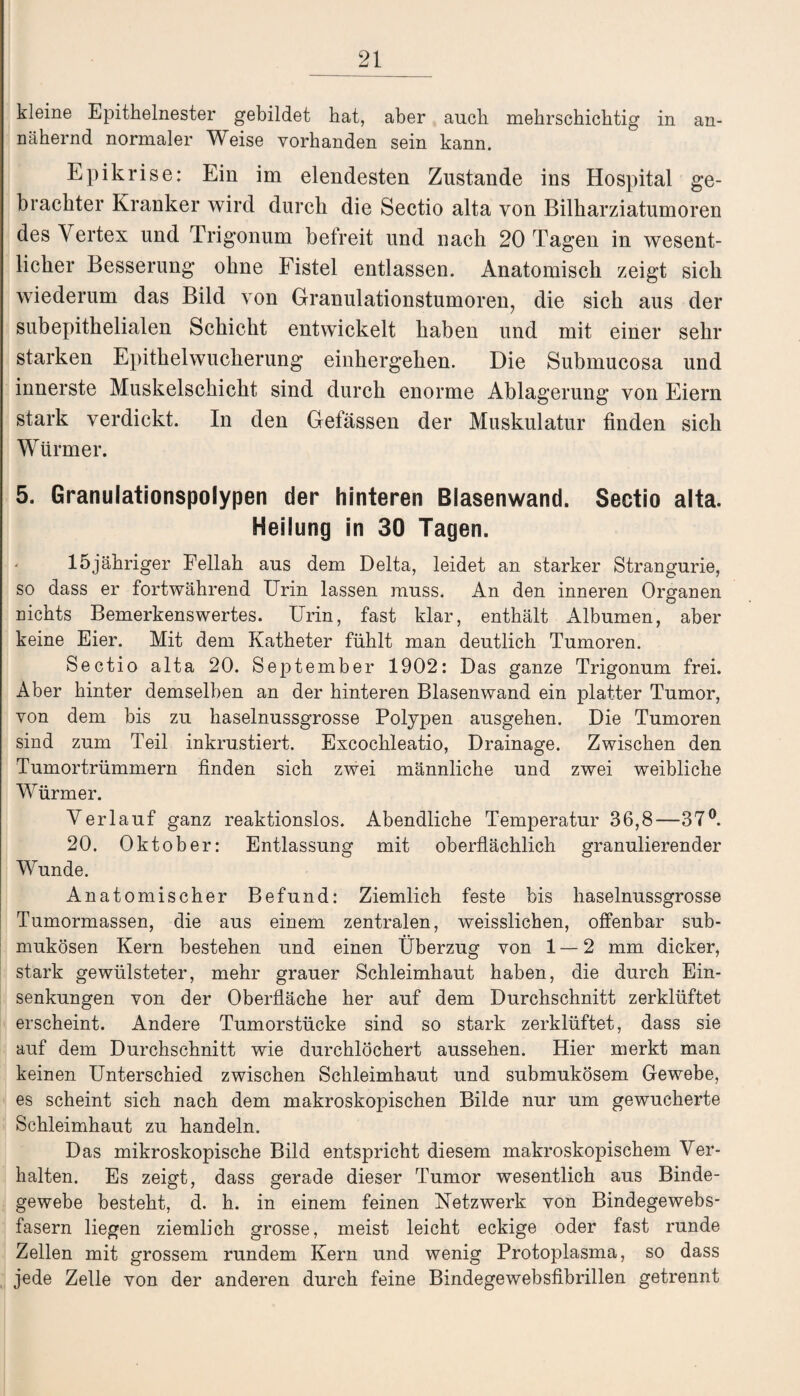 kleine Epitbelnester gebildet hat, aber auch mebrscbicbtig in an¬ nähernd normaler Weise vorhanden sein kann. Epikrise: Ein im elendesten Zustande ins Hospital ge¬ brachter Kranker wird durch die Sectio alta von Bilharziatumoren des Vertex und Trigonum befreit und nach 20 Tagen in wesent¬ licher Besserung ohne Fistel entlassen. Anatomisch zeigt sich wiederum das Bild von Granulationstumoren, die sich aus der subepithelialen Schicht entwickelt haben und mit einer sehr starken Epithelwucherung einhergehen. Die Submucosa und innerste Muskelschicht sind durch enorme Ablagerung von Eiern stark verdickt. In den Gefässen der Muskulatur finden sich Würmer. 5. Granulationspolypen der hinteren Blasenwand. Sectio alta. Heilung in 30 Tagen. 15jähriger Fellah aus dem Delta, leidet an starker Strangurie, so dass er fortwährend Urin lassen muss. An den inneren Organen nichts Bemerkenswertes. Urin, fast klar, enthält Albumen, aber keine Eier. Mit dem Katheter fühlt man deutlich Tumoren. Sectio alta 20. September 1902: Das ganze Trigonum frei. Aber hinter demselben an der hinteren Blasenwand ein platter Tumor, von dem bis zu haselnussgrosse Polypen ausgehen. Die Tumoren sind zum Teil inkrustiert. Excochleatio, Drainage. Zwischen den Tumortrümmern finden sich zwei männliche und zwei weibliche Würmer. Verlauf ganz reaktionslos. Abendliche Temperatur 36,8—37°. 20. Oktober: Entlassung mit oberflächlich granulierender Wunde. Anatomischer Befund: Ziemlich feste bis haselnussgrosse Tumormassen, die aus einem zentralen, weisslichen, offenbar sub¬ mukösen Kern bestehen und einen Überzug von 1 — 2 mm dicker, stark gewülsteter, mehr grauer Schleimhaut haben, die durch Ein¬ senkungen von der Oberfläche her auf dem Durchschnitt zerklüftet erscheint. Andere Tumorstücke sind so stark zerklüftet, dass sie auf dem Durchschnitt wie durchlöchert aussehen. Hier merkt man keinen Unterschied zwischen Schleimhaut und submukösem Gewebe, es scheint sich nach dem makroskopischen Bilde nur um gewucherte Schleimhaut zu handeln. Das mikroskopische Bild entspricht diesem makroskopischem Ver¬ halten. Es zeigt, dass gerade dieser Tumor wesentlich aus Binde¬ gewebe besteht, d. h. in einem feinen Netzwerk von Bindegewebs¬ fasern liegen ziemlich grosse, meist leicht eckige oder fast runde Zellen mit grossem rundem Kern und wenig Protoplasma, so dass jede Zelle von der anderen durch feine Bindegewebsfibrillen getrennt