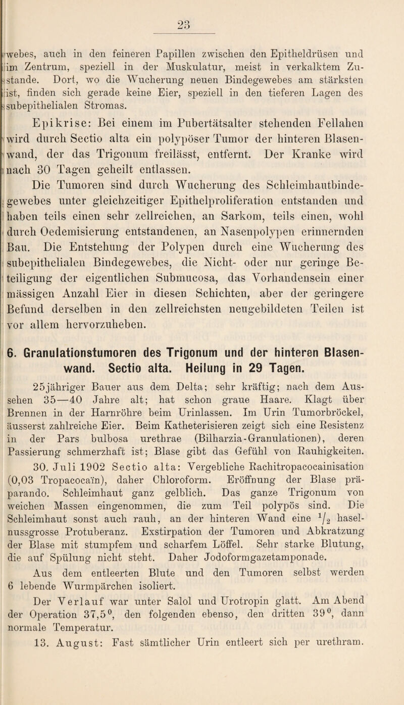 webes, auch in den feineren Papillen zwischen den Epitheldrüsen und Jim Zentrum, speziell in der Muskulatur, meist in verkalktem Zu¬ stande. Dort, wo die Wucherung neuen Bindegewebes am stärksten [[ist, finden sich gerade keine Eier, speziell in den tieferen Lagen des ■ subepithelialen Stromas. Epikrise: Bei einem im Pubertätsalter stehenden Fellaken wird durch Sectio alta ein polypöser Tumor der hinteren Blasen¬ wand, der das Trigonum freilässt, entfernt. Der Kranke wird nach 30 Tagen geheilt entlassen. Die Tumoren sind durch Wucherung des Schleimhautbinde¬ gewebes unter gleichzeitiger Epithelproliferation entstanden und haben teils einen sehr zellreichen, an Sarkom, teils einen, wohl durch Oedemisierung entstandenen, an Nasenpolypen erinnernden Bau. Die Entstehung der Polypen durch eine Wucherung des subepithelialen Bindegewebes, die Nicht- oder nur geringe Be¬ teiligung der eigentlichen Submucosa, das Vorhandensein einer mässigen Anzahl Eier in diesen Schichten, aber der geringere Befund derselben in den zellreichsten neugebildeten Teilen ist vor allem hervorzuheben. 6. Granulationstumoren des Trigonum und der hinteren Blasen¬ wand. Sectio alta. Heilung in 29 Tagen. 25jäkriger Bauer aus dem Delta; sehr kräftig; nach dem Aus¬ sehen 35—40 Jahre alt; hat schon graue Haare. Klagt über Brennen in der Harnröhre beim Urinlassen. Im Urin Tumorbröckel, äusserst zahlreiche Eier. Beim Katheterisieren zeigt sich eine Resistenz in der Pars bulbosa urethrae (Bilharzia-Granulationen), deren Passierung schmerzhaft ist; Blase gibt das Gefühl von Rauhigkeiten. 30. Juli 1902 Sectio alta: Vergebliche Rachitropacocainisation (0,03 Tropacoca'in), daher Chloroform. Eröffnung der Blase prä- parando. Schleimhaut ganz gelblich. Das ganze Trigonum von weichen Massen eingenommen, die zum Teil polypös sind. Die Schleimhaut sonst auch rauh, an der hinteren Wand eine 1/2 hasel¬ nussgrosse Protuberanz. Exstirpation der Tumoren und Abkratzung der Blase mit stumpfem und scharfem Löffel. Sehr starke Blutung, die auf Spülung nicht steht. Daher Jodoformgazetamponade. Aus dem entleerten Blute und den Tumoren selbst werden 6 lebende Wurmpärchen isoliert. Der Verlauf war unter Salol und Urotropin glatt. Am Abend der Operation 37,5°, den folgenden ebenso, den dritten 39°, dann normale Temperatur. 13. August: Fast sämtlicher Urin entleert sich per urethram.