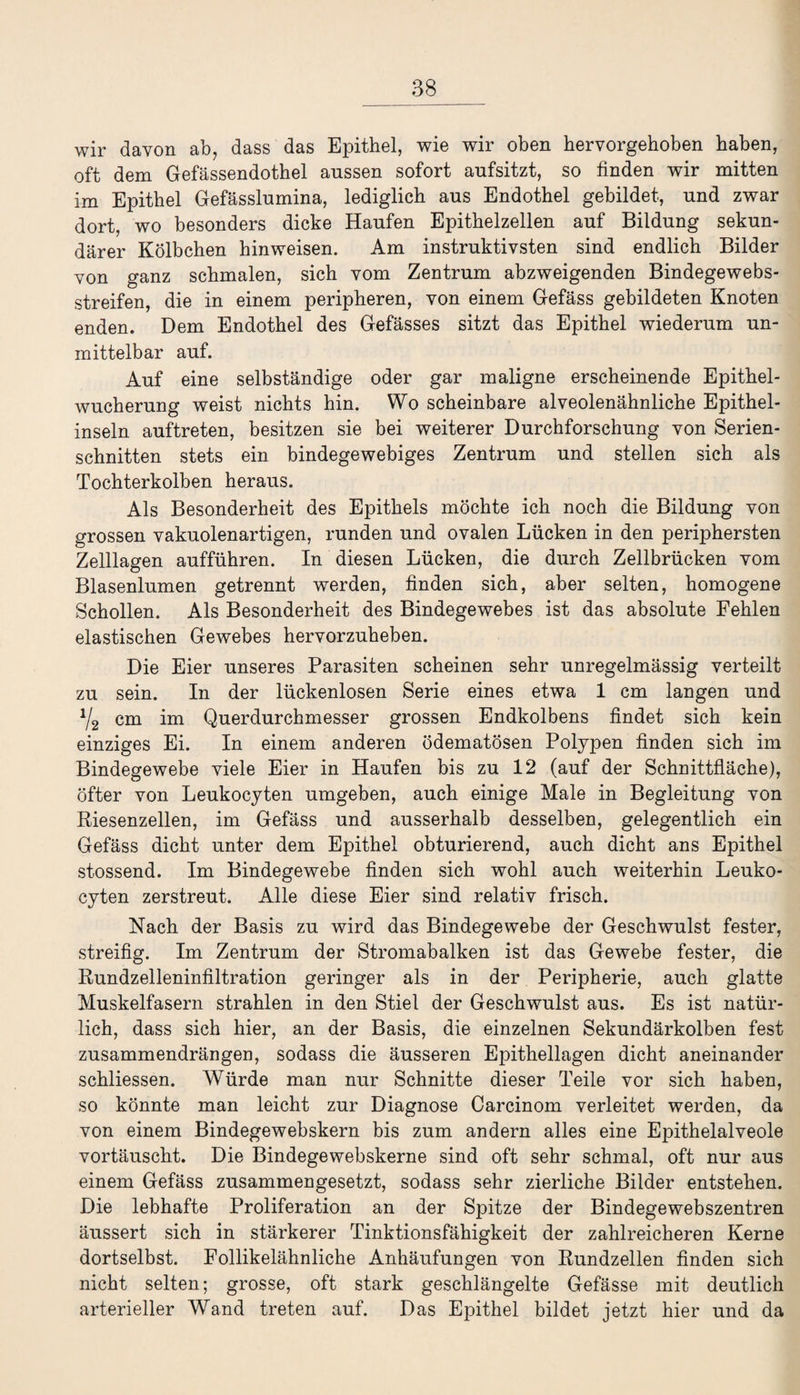 wir davon ab, dass das Epithel, wie wir oben hervorgehoben haben, oft dem Gefässendothel anssen sofort aufsitzt, so finden wir mitten im Epithel Gefässlumina, lediglich aus Endothel gebildet, und zwar dort, wo besonders dicke Haufen Epithelzellen auf Bildung sekun¬ därer Kölbchen hinweisen. Am instruktivsten sind endlich Bilder von ganz schmalen, sich vom Zentrum abzweigenden Bindegewebs- streifen, die in einem peripheren, von einem Gefäss gebildeten Knoten enden. Dem Endothel des Gefässes sitzt das Epithel wiederum un¬ mittelbar auf. Auf eine selbständige oder gar maligne erscheinende Epithel¬ wucherung weist nichts hin. Wo scheinbare alveolenähnliche Epithel¬ inseln auftreten, besitzen sie bei weiterer Durchforschung von Serien¬ schnitten stets ein bindegewebiges Zentrum und stellen sich als Tochterkolben heraus. Als Besonderheit des Epithels möchte ich noch die Bildung von grossen vakuolenartigen, runden und ovalen Lücken in den periphersten Zelllagen aufführen. In diesen Lücken, die durch Zellbrücken vom Blasenlumen getrennt werden, finden sich, aber selten, homogene Schollen. Als Besonderheit des Bindegewebes ist das absolute Fehlen elastischen Gewebes hervorzuheben. Die Eier unseres Parasiten scheinen sehr unregelmässig verteilt zu sein. In der lückenlosen Serie eines etwa 1 cm langen und V8 cm im Querdurchmesser grossen Endkolbens findet sich kein einziges Ei. In einem anderen ödematösen Polypen finden sich im Bindegewebe viele Eier in Haufen bis zu 12 (auf der Schnittfläche), öfter von Leukocyten umgeben, auch einige Male in Begleitung von Riesenzellen, im Gefäss und ausserhalb desselben, gelegentlich ein Gefäss dicht unter dem Epithel obturierend, auch dicht ans Epithel stossend. Im Bindegewebe finden sich wohl auch weiterhin Leuko¬ cyten zerstreut. Alle diese Eier sind relativ frisch. Nach der Basis zu wird das Bindegewebe der Geschwulst fester, streifig. Im Zentrum der Stromabalken ist das Gewebe fester, die Rundzelleninfiltration geringer als in der Peripherie, auch glatte Muskelfasern strahlen in den Stiel der Geschwulst aus. Es ist natür¬ lich, dass sich hier, an der Basis, die einzelnen Sekundärkolben fest zusammendrängen, sodass die äusseren Epithellagen dicht aneinander schliessen. Würde man nur Schnitte dieser Teile vor sich haben, so könnte man leicht zur Diagnose Carcinom verleitet werden, da von einem Bindegewebskern bis zum andern alles eine Epithelalveole vortäuscht. Die Bindegewebskerne sind oft sehr schmal, oft nur aus einem Gefäss zusammengesetzt, sodass sehr zierliche Bilder entstehen. Die lebhafte Proliferation an der Spitze der Bindegewebszentren äussert sich in stärkerer Tinktionsfähigkeit der zahlreicheren Kerne dortselbst. Follikelähnliche Anhäufungen von Rundzellen finden sich nicht selten; grosse, oft stark geschlängelte Gefässe mit deutlich arterieller Wand treten auf. Das Epithel bildet jetzt hier und da