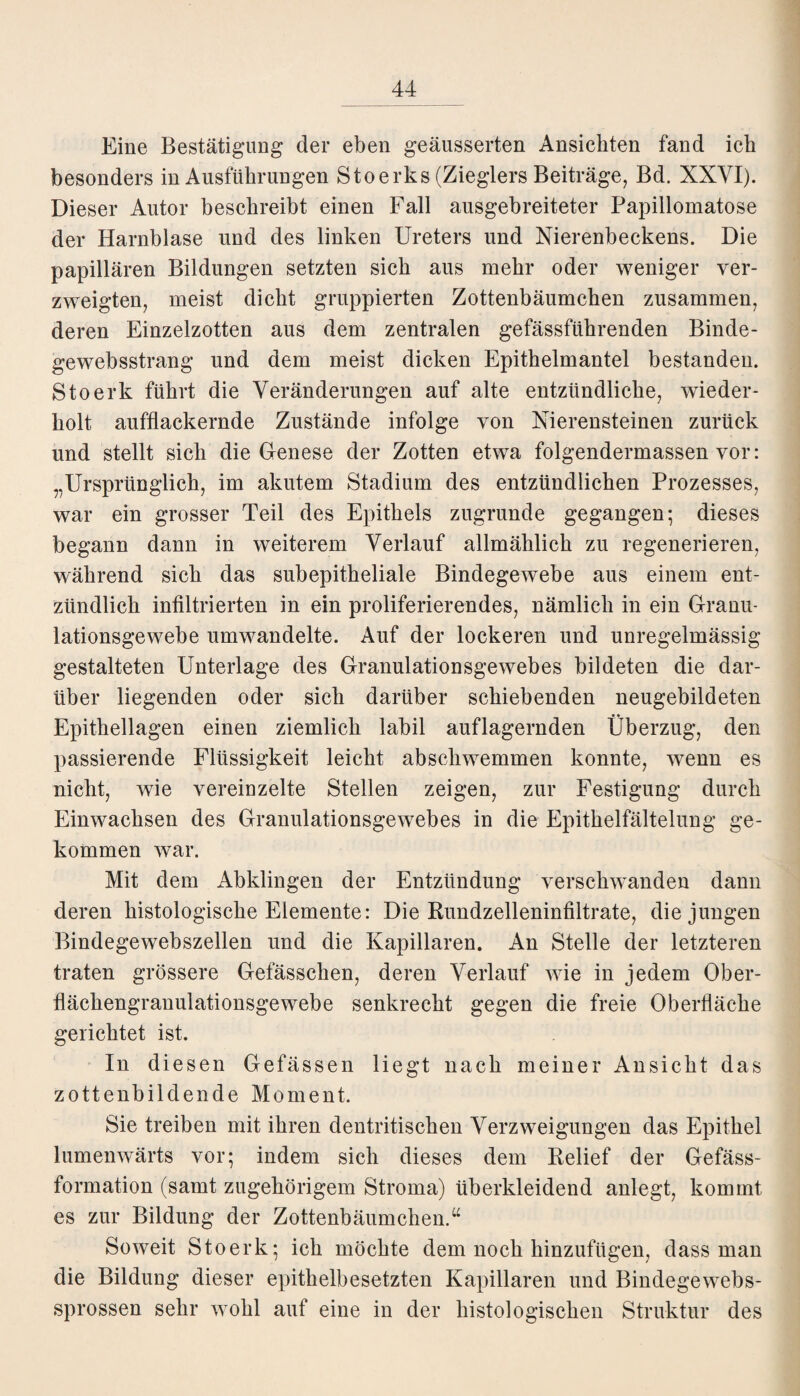 Eine Bestätigung der eben geäusserten Ansichten fand ich besonders in Ausführungen Stoerks (Zieglers Beiträge, Bd. XXVI). Dieser Autor beschreibt einen Fall ausgebreiteter Papillomatose der Harnblase und des linken Ureters und Nierenbeckens. Die papillären Bildungen setzten sich aus mehr oder weniger ver¬ zweigten, meist dicht gruppierten Zottenbäumchen zusammen, deren Einzelzotten aus dem zentralen gefässführenden Binde- gewebsstrang und dem meist dicken Epithelmantel bestanden. Stoerk führt die Veränderungen auf alte entzündliche, wieder¬ holt aufflackernde Zustände infolge von Nierensteinen zurück und stellt sich die Genese der Zotten etwa folgendermassen vor: „Ursprünglich, im akutem Stadium des entzündlichen Prozesses, war ein grosser Teil des Epithels zugrunde gegangen; dieses begann dann in weiterem Verlauf allmählich zu regenerieren, während sich das subepitheliale Bindegewebe aus einem ent¬ zündlich infiltrierten in ein proliferierendes, nämlich in ein Granu¬ lationsgewebe umwandelte. Auf der lockeren und unregelmässig gestalteten Unterlage des Granulationsgewebes bildeten die dar¬ über liegenden oder sich darüber schiebenden neugebildeten Epithellagen einen ziemlich labil auflagernden Überzug, den passierende Flüssigkeit leicht abschwemmen konnte, wenn es nicht, wie vereinzelte Stellen zeigen, zur Festigung durch Einwachsen des Granulationsgewebes in die Epithelfältelung ge¬ kommen war. Mit dem Abklingen der Entzündung verschwanden dann deren histologische Elemente: Die Bundzelleninfiltrate, die jungen Bindegewebszellen und die Kapillaren. An Stelle der letzteren traten grössere Gefässchen, deren Verlauf wie in jedem Ober¬ flächengranulationsgewebe senkrecht gegen die freie Oberfläche gerichtet ist. In diesen Gefässen liegt nach meiner Ansicht das zottenbildende Moment. Sie treiben mit ihren dentritischen Verzweigungen das Epithel lumenwärts vor; indem sich dieses dem Belief der Gefäss- formation (samt zugehörigem Stroma) überkleidend anlegt, kommt es zur Bildung der Zottenbäumchen.“ Soweit Stoerk; ich möchte dem noch hinzufügen, dass man die Bildung dieser epithelbesetzten Kapillaren und Bindegewebs- sprossen sehr wohl auf eine in der histologischen Struktur des