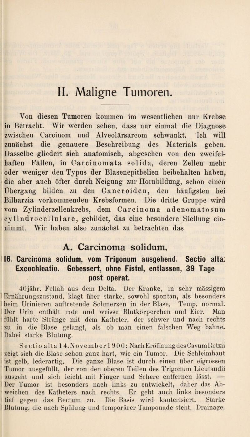 Von diesen Tumoren kommen im wesentlichen nur Krebse in Betracht. Wir werden sehen, dass nur einmal die Diagnose zwischen Carcinom und Alveolärsarcom schwankt. Ich will zunächst die genauere Beschreibung des Materials geben. Dasselbe gliedert sich anatomisch, abgesehen von den zweifel¬ haften Fällen, in Carcinomata solida, deren Zellen mehr oder weniger den Typus der Blasenepithelien beibehalten haben, die aber auch öfter durch Neigung zur Hornbildung, schon einen Übergang bilden zu den Cancroiden, den häufigsten bei Bilharzia vorkommenden Krebsformen. Die dritte Gruppe wird vom Zylinderzellenkrebs, dem Carcinoma adenomatosum cylindrocellulare, gebildet, das eine besondere Stellung ein¬ nimmt. Wir haben also zunächst zu betrachten das A. Carcinoma solidum, 16. Carcinoma solidum, vom Trigonum ausgehend. Sectio alta. Excochleatio. Gebessert, ohne Fistel, entlassen, 39 Tage post operat. 40jähr. Fellah aus dem Delta. Der Kranke, in sehr mässigem Ernährungszustand, klagt über starke, sowohl spontan, als besonders beim Urinieren auftretende Schmerzen in der Blase. Temp. normal. Der Urin enthält rote und weisse Blutkörperchen und Eier. Man fühlt harte Stränge mit dem Katheter, der schwer und nach rechts zu in die Blase gelangt, als ob man einen falschen Weg bahne. Dabei starke Blutung. Sectio alta 1 4.November 1900: Nach Eröffnung des CavumRetzii zeigt sich die Blase schon ganz hart, wie ein Tumor. Die Schleimhaut ist gelb, lederartig. Die ganze Blase ist durch einen über eigrossen Tumor ausgefüllt, der von den oberen Teilen des Trigonum Lieutaudii ausgeht und sich leicht mit Finger und Schere entfernen lässt. — Der Tumor ist besonders nach links zu entwickelt, daher das Ab¬ weichen des Katheters nach rechts. Er geht auch links besonders tief gegen das Rectum zu. Die Basis wird kauterisiert. Starke Blutung, die nach Spülung und temporärer Tamponade steht. Drainage.